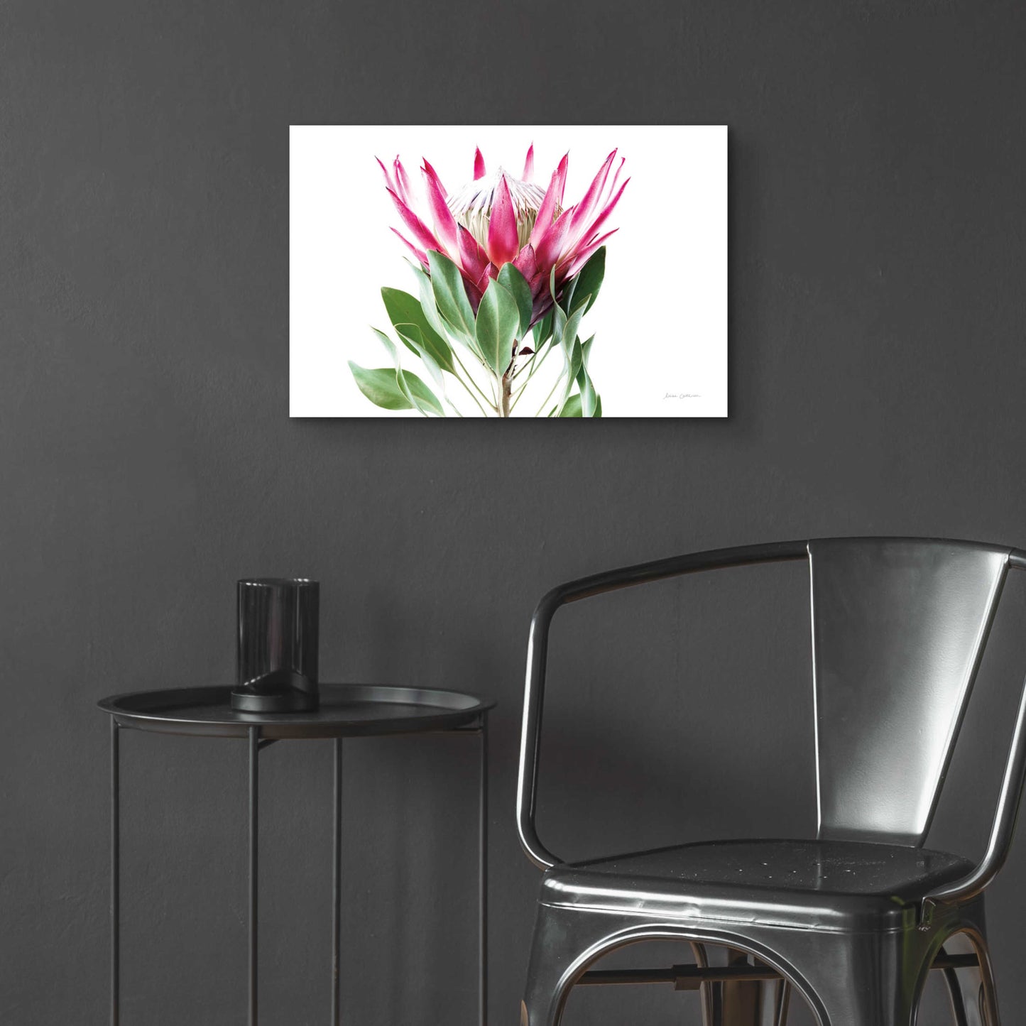 Epic Art 'Bold Protea I' by Elise Catterall, Acrylic Glass Wall Art,24x16