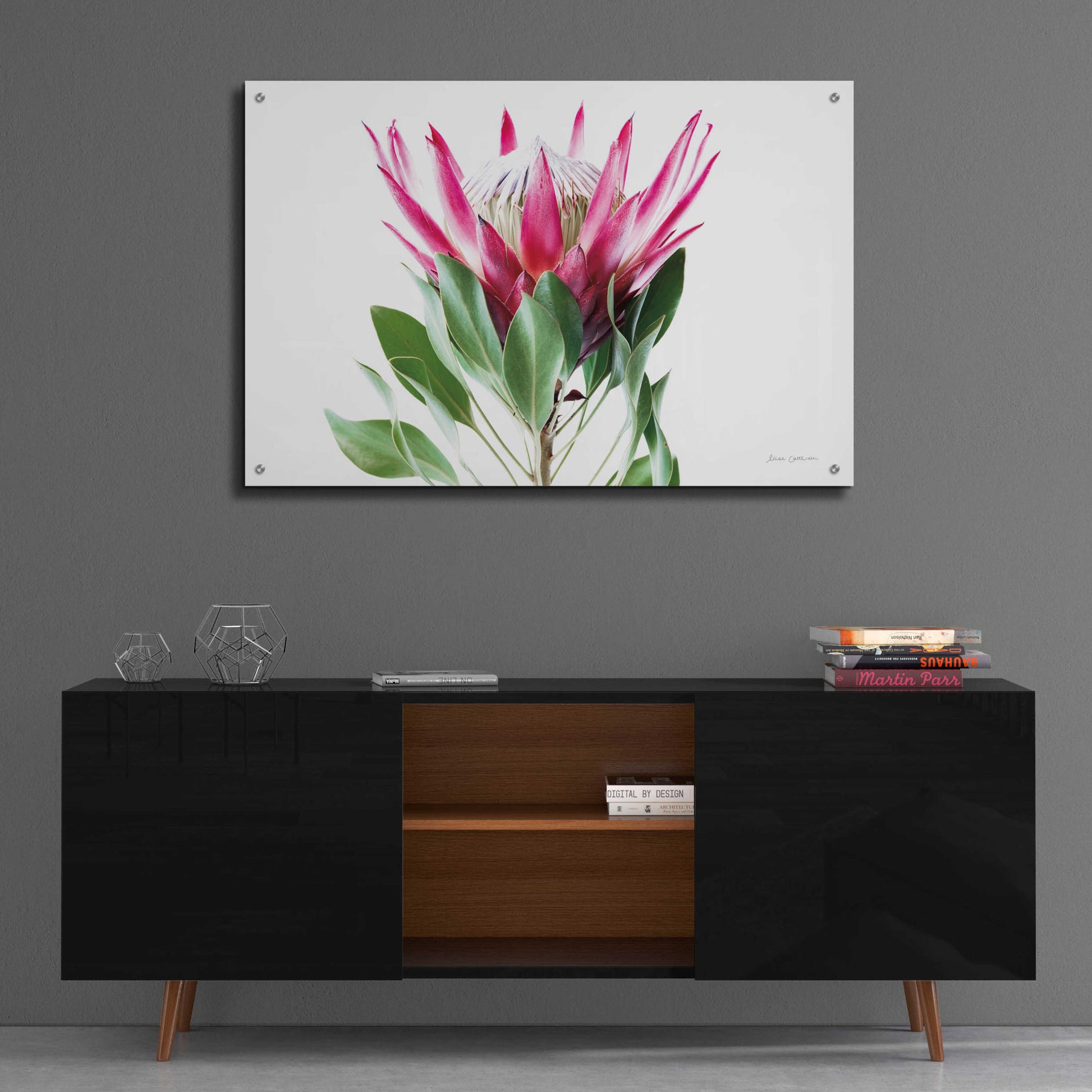 Epic Art 'Bold Protea I' by Elise Catterall, Acrylic Glass Wall Art,36x24