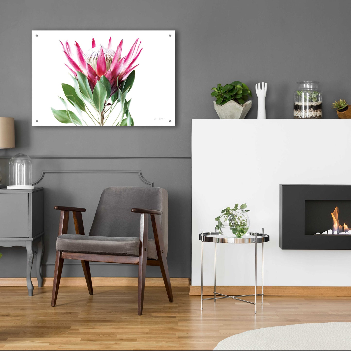 Epic Art 'Bold Protea I' by Elise Catterall, Acrylic Glass Wall Art,36x24