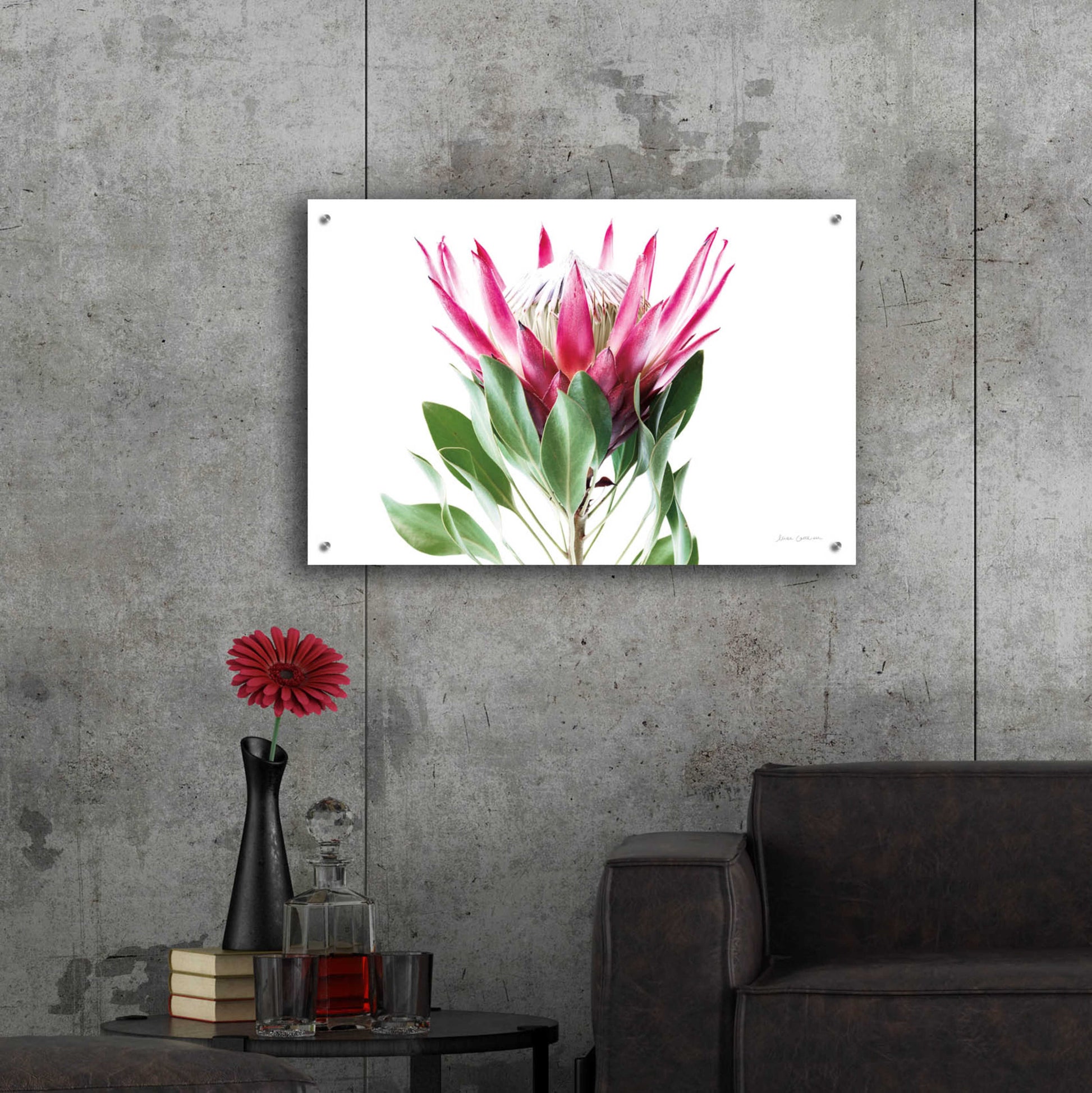 Epic Art 'Bold Protea I' by Elise Catterall, Acrylic Glass Wall Art,36x24