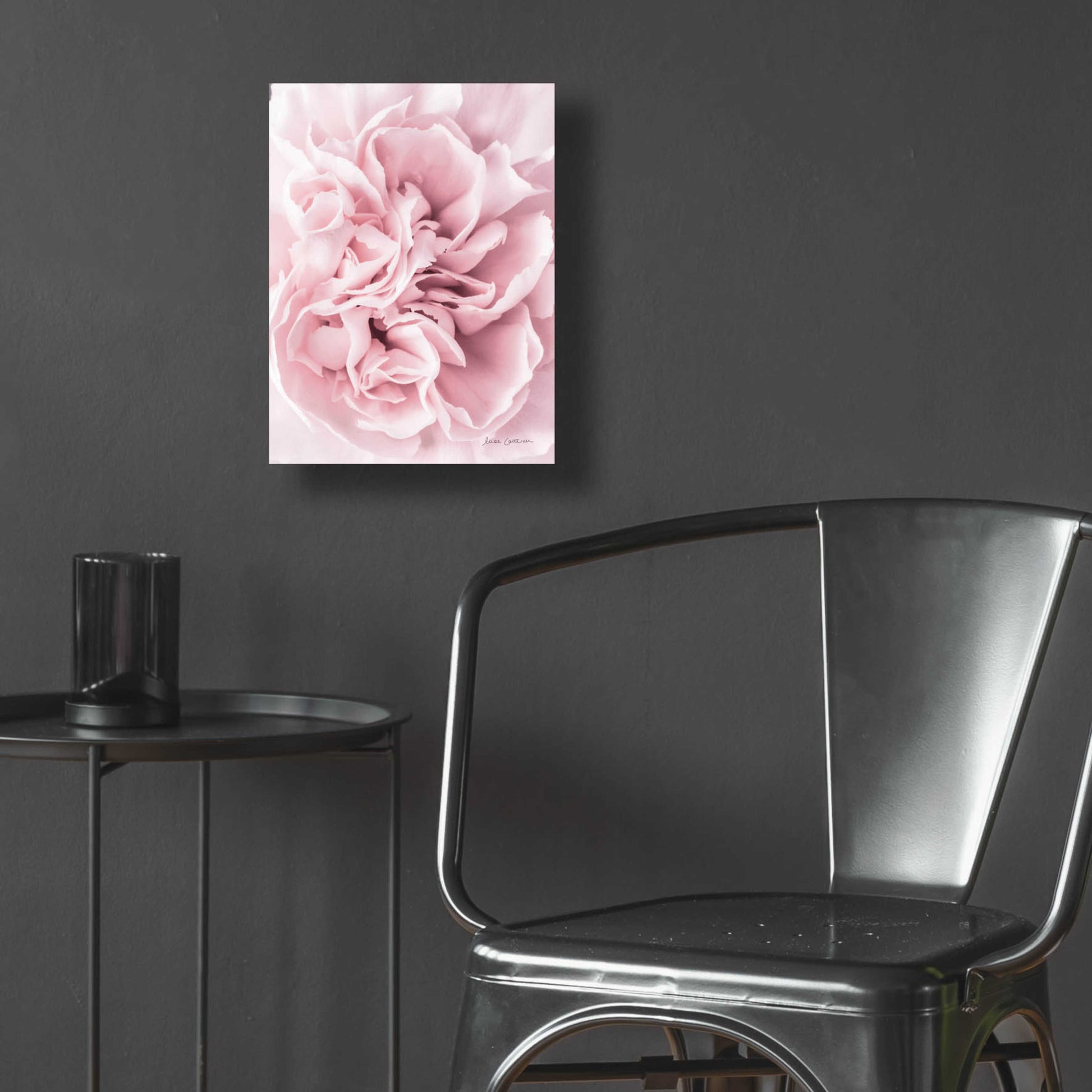 Epic Art 'Pink Carnation Crop' by Elise Catterall, Acrylic Glass Wall Art,12x16