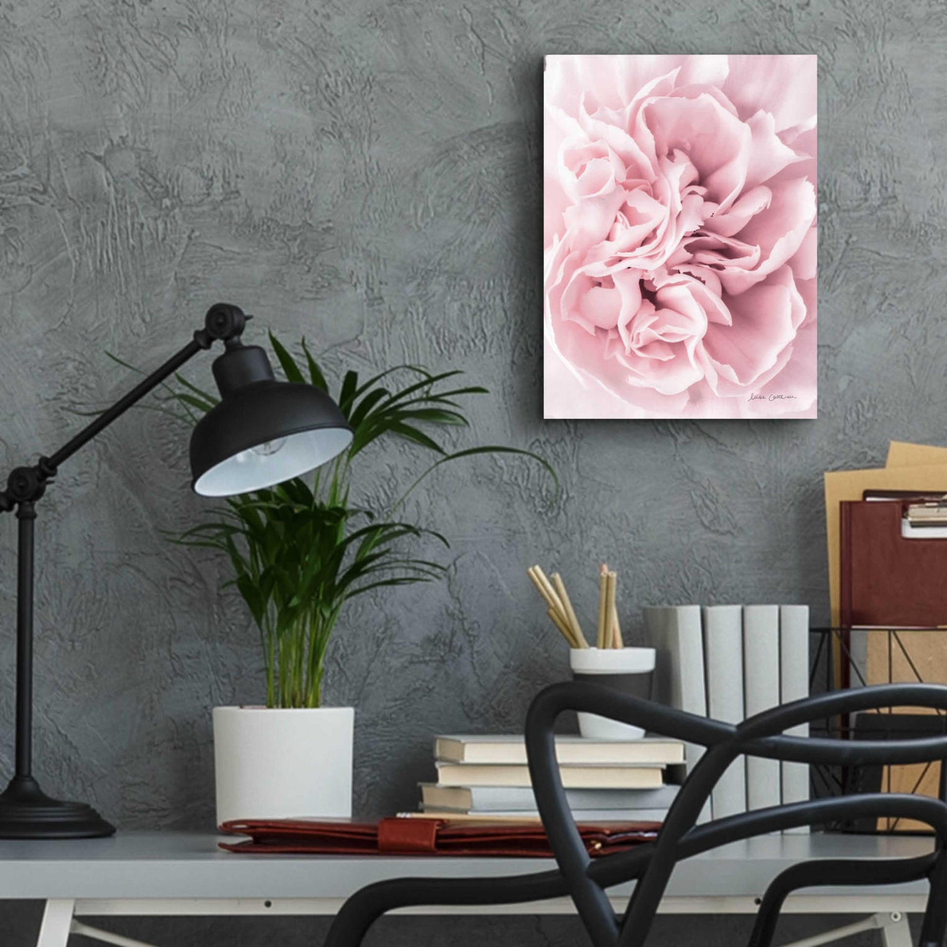 Epic Art 'Pink Carnation Crop' by Elise Catterall, Acrylic Glass Wall Art,12x16