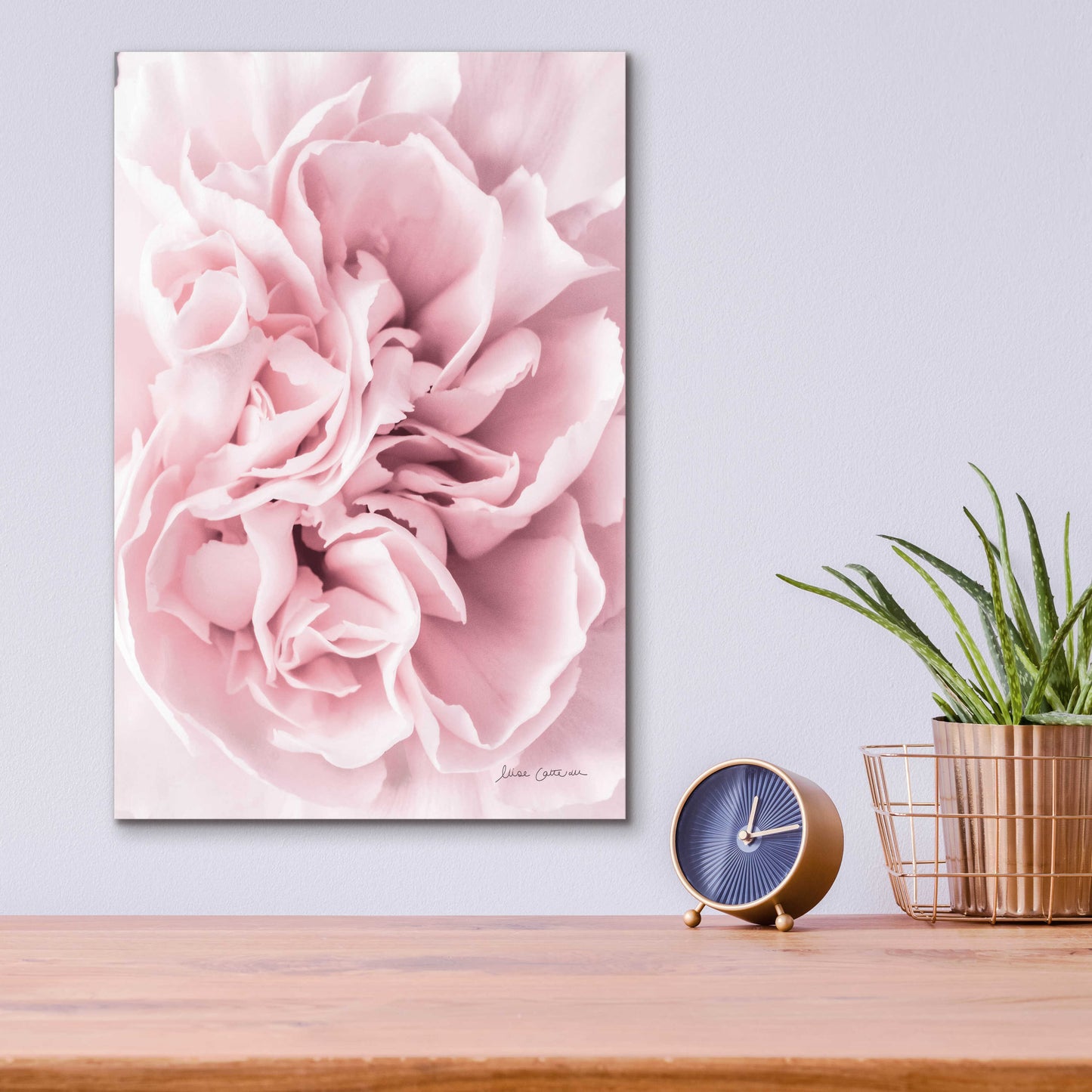 Epic Art 'Pink Carnation Crop' by Elise Catterall, Acrylic Glass Wall Art,12x16