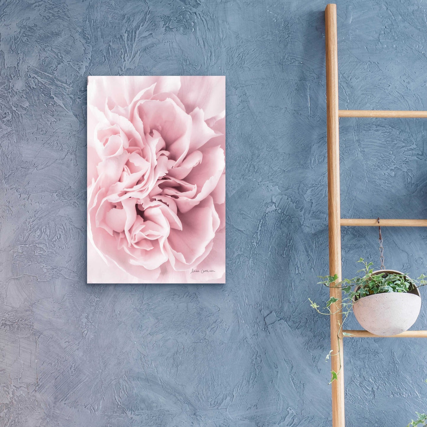 Epic Art 'Pink Carnation Crop' by Elise Catterall, Acrylic Glass Wall Art,16x24