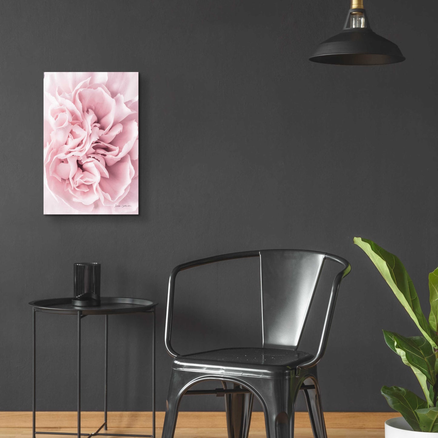 Epic Art 'Pink Carnation Crop' by Elise Catterall, Acrylic Glass Wall Art,16x24