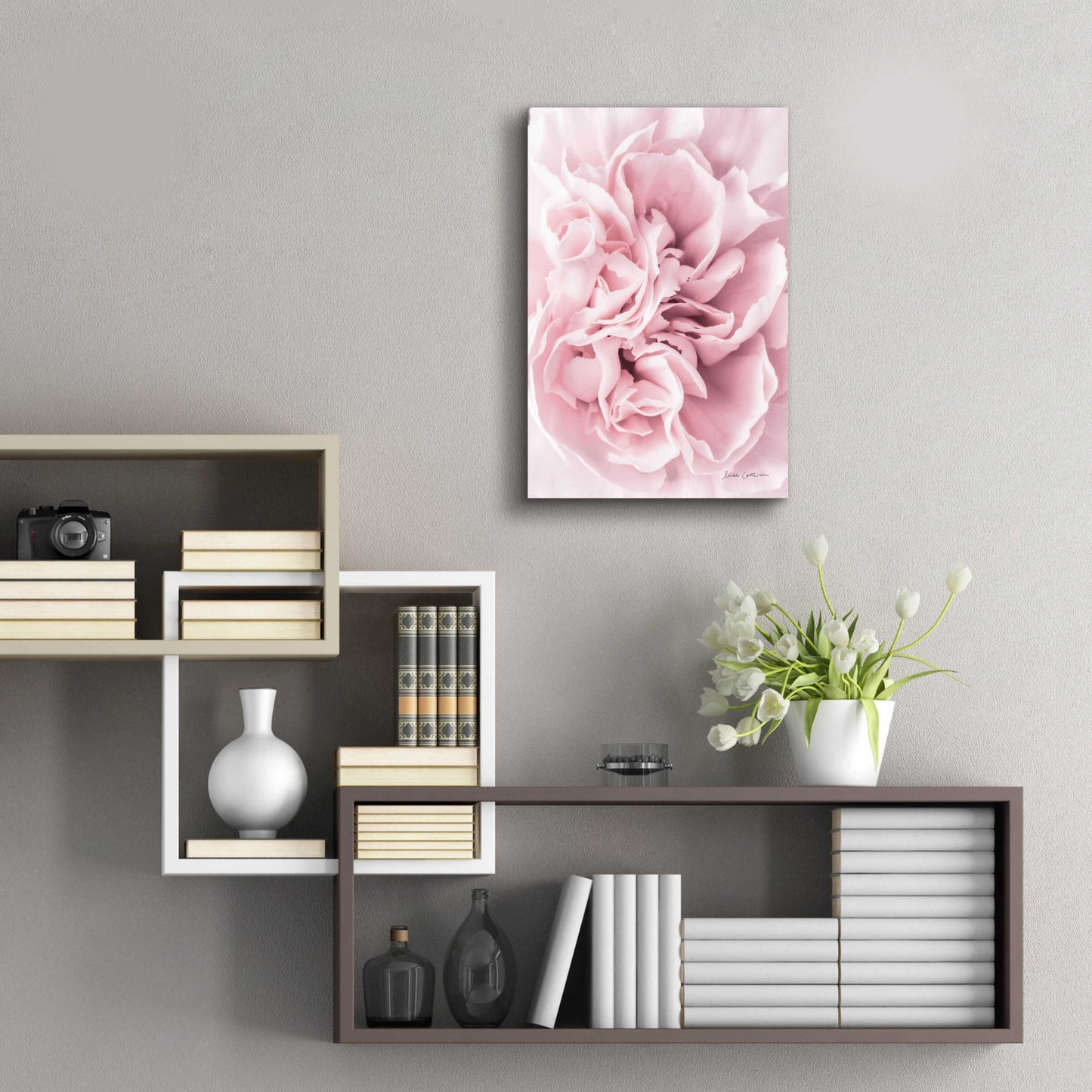 Epic Art 'Pink Carnation Crop' by Elise Catterall, Acrylic Glass Wall Art,16x24