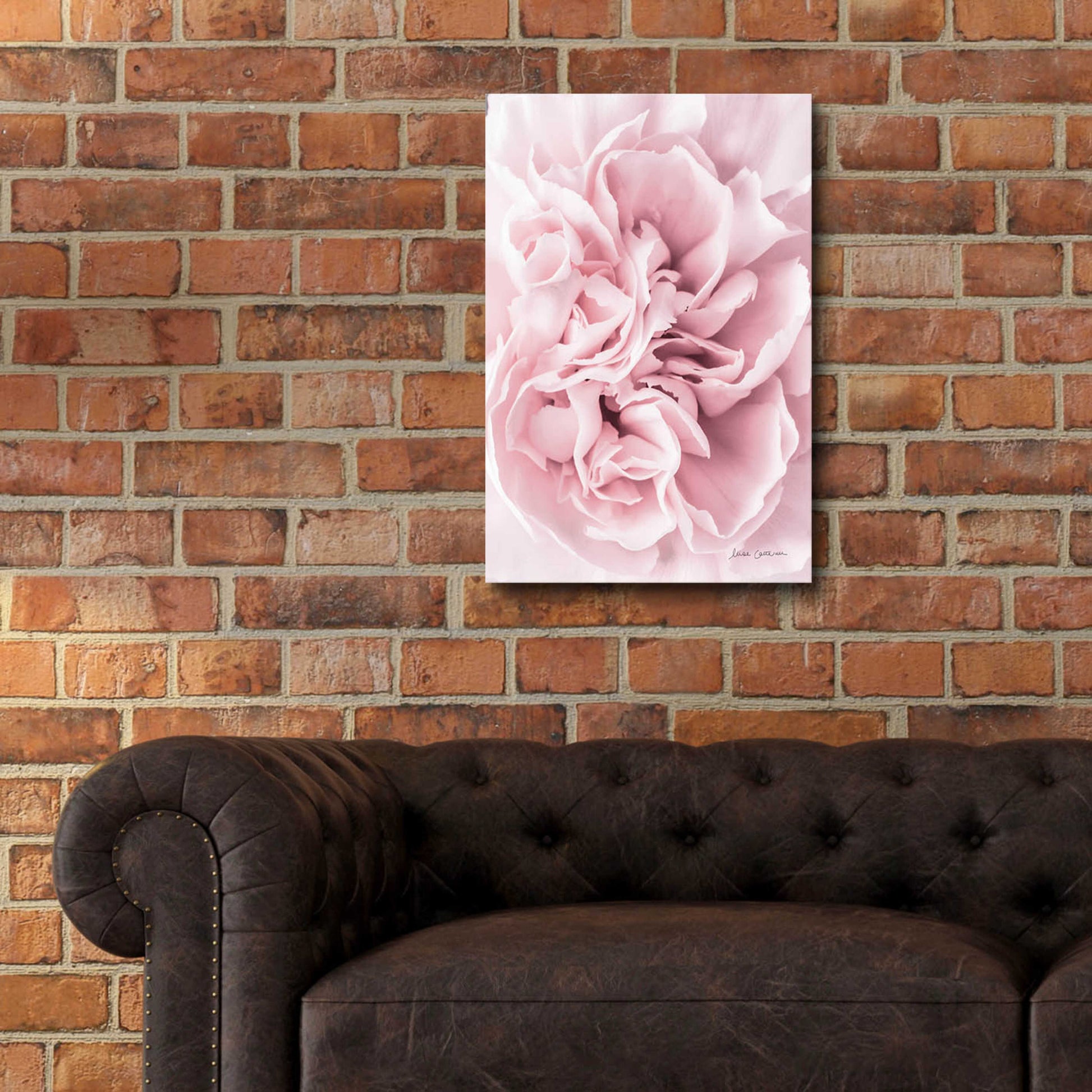 Epic Art 'Pink Carnation Crop' by Elise Catterall, Acrylic Glass Wall Art,16x24