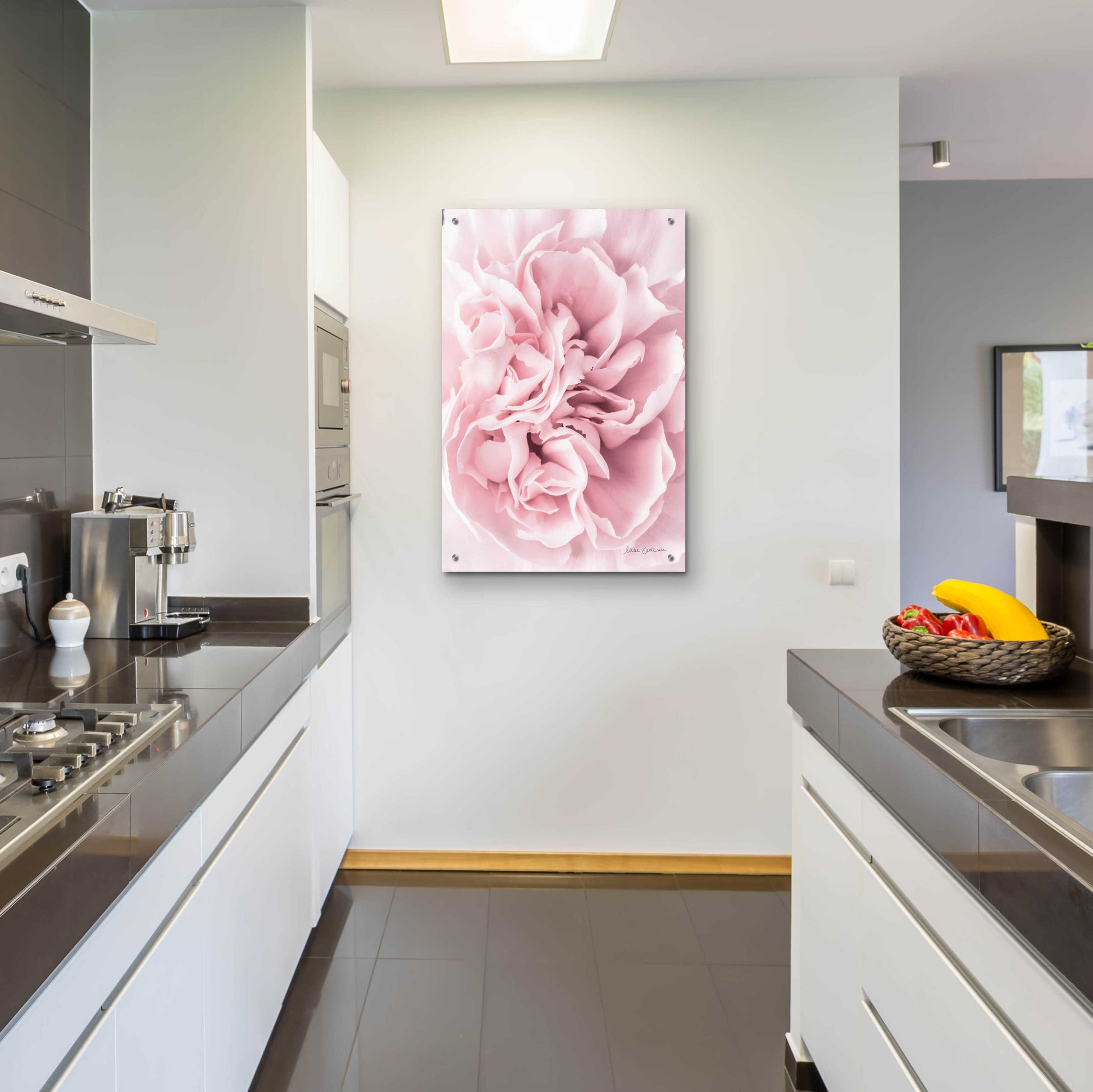 Epic Art 'Pink Carnation Crop' by Elise Catterall, Acrylic Glass Wall Art,24x36