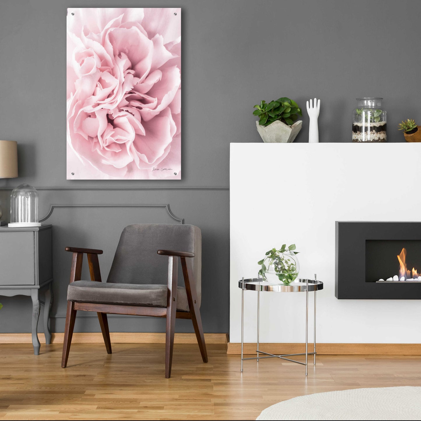 Epic Art 'Pink Carnation Crop' by Elise Catterall, Acrylic Glass Wall Art,24x36