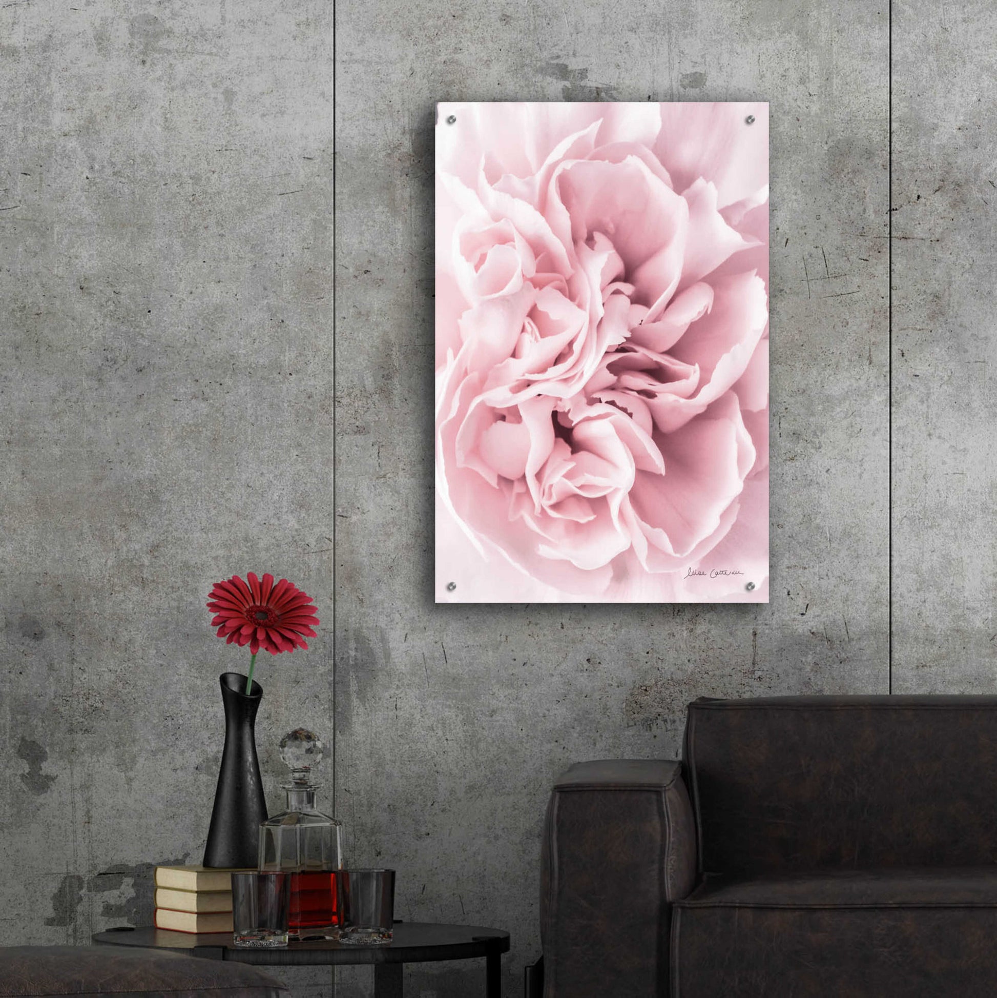 Epic Art 'Pink Carnation Crop' by Elise Catterall, Acrylic Glass Wall Art,24x36