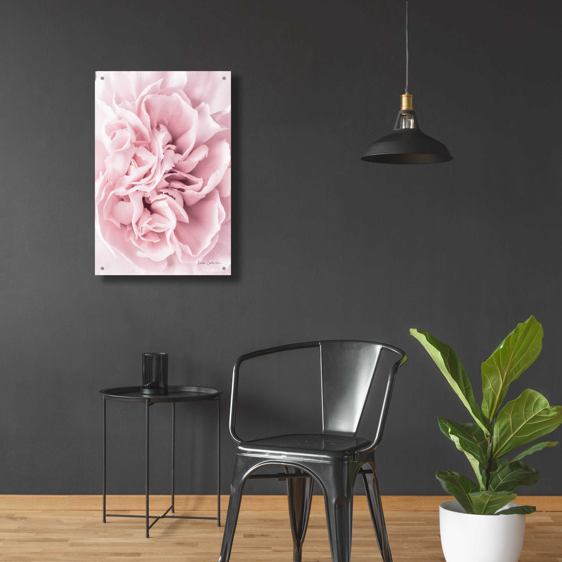 Epic Art 'Pink Carnation Crop' by Elise Catterall, Acrylic Glass Wall Art,24x36