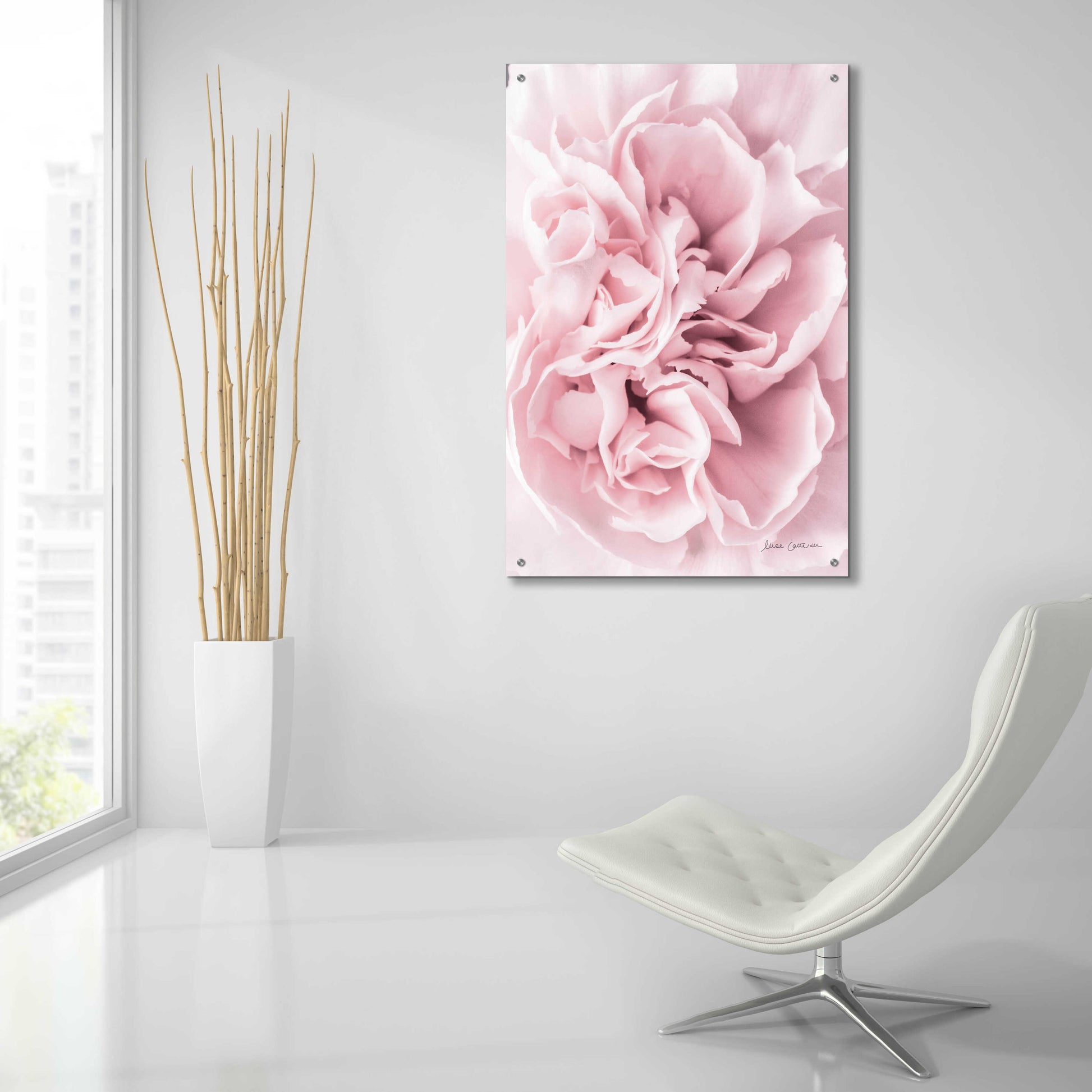 Epic Art 'Pink Carnation Crop' by Elise Catterall, Acrylic Glass Wall Art,24x36