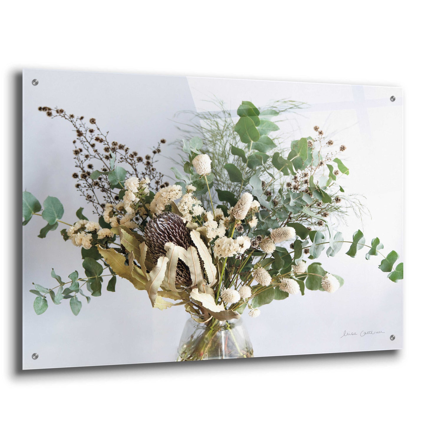 Epic Art 'Eucalyptus Arrangement' by Elise Catterall, Acrylic Glass Wall Art,36x24