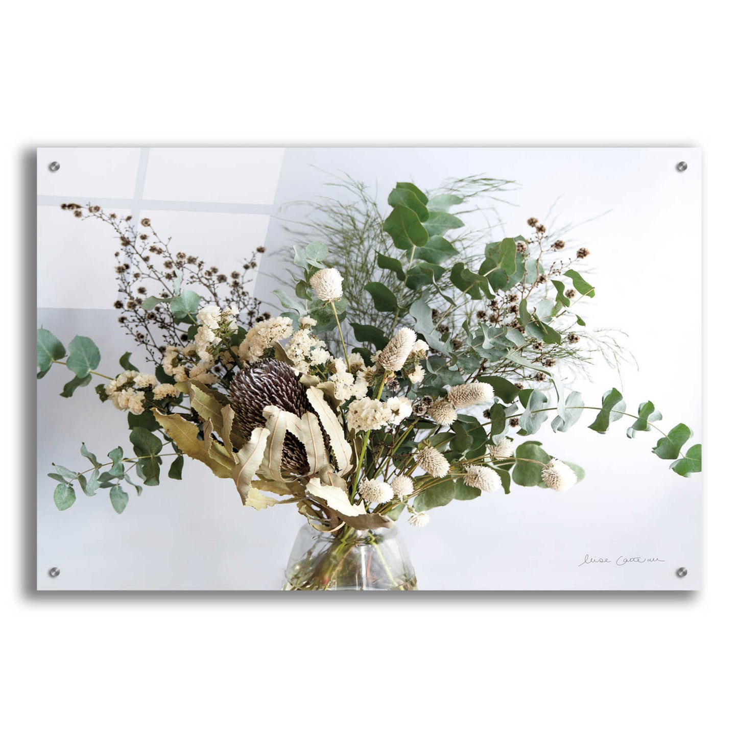 Epic Art 'Eucalyptus Arrangement' by Elise Catterall, Acrylic Glass Wall Art,36x24