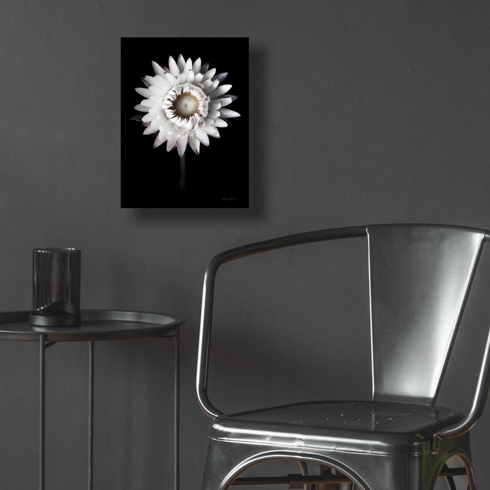 Epic Art 'Dramatic Dahlia' by Elise Catterall, Acrylic Glass Wall Art,12x16