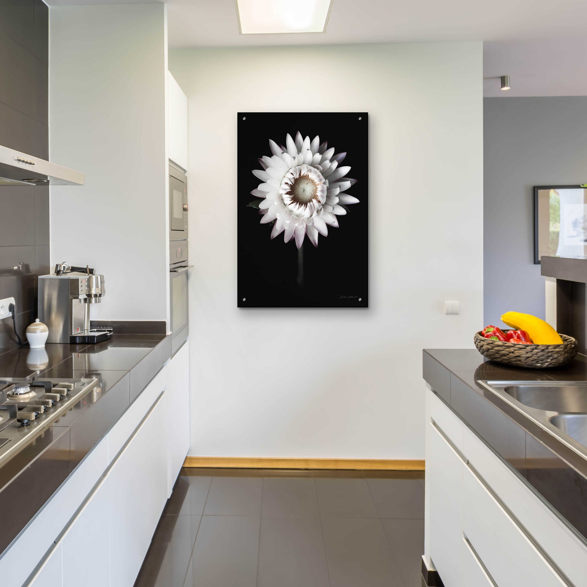 Epic Art 'Dramatic Dahlia' by Elise Catterall, Acrylic Glass Wall Art,24x36