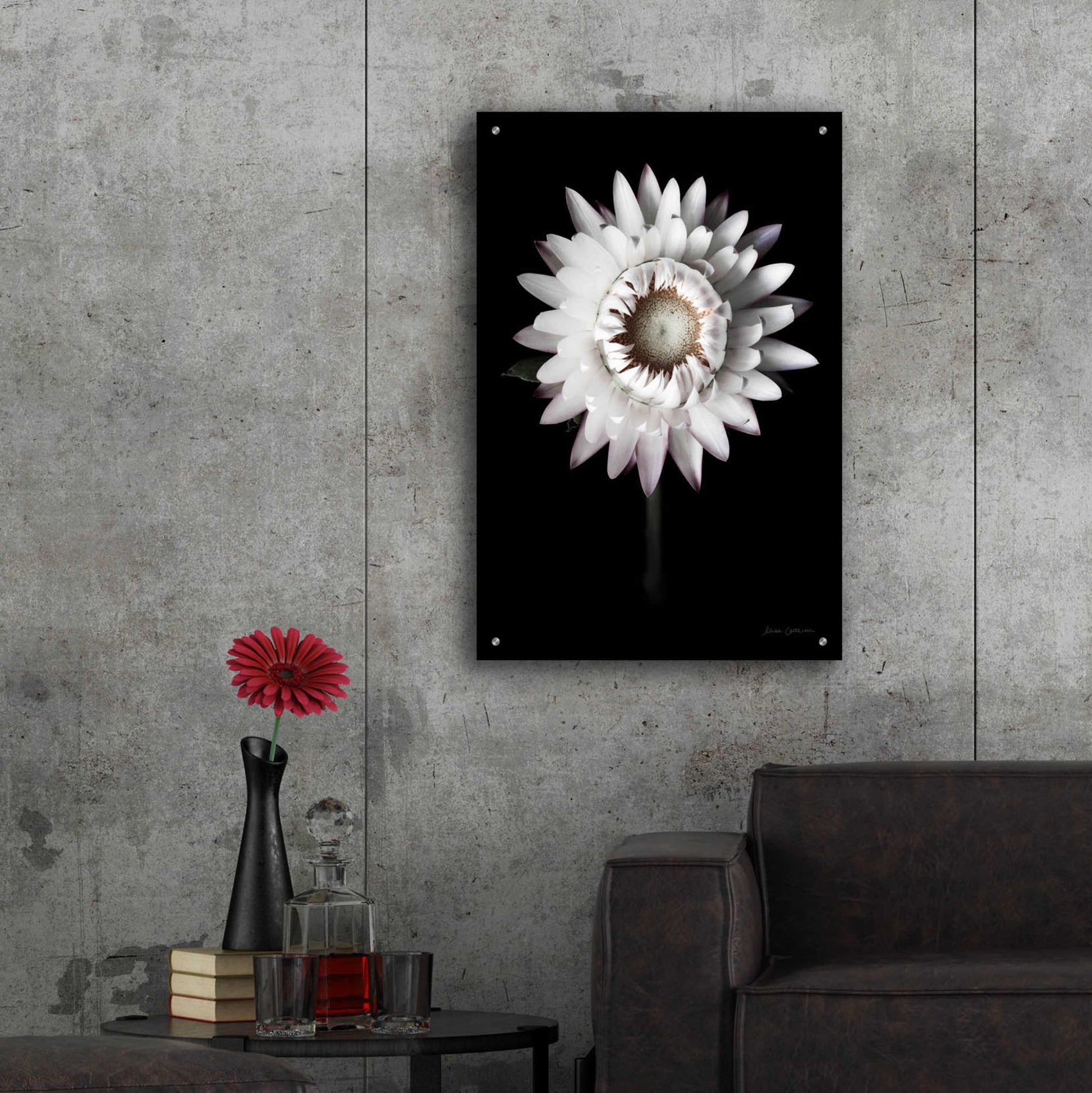 Epic Art 'Dramatic Dahlia' by Elise Catterall, Acrylic Glass Wall Art,24x36