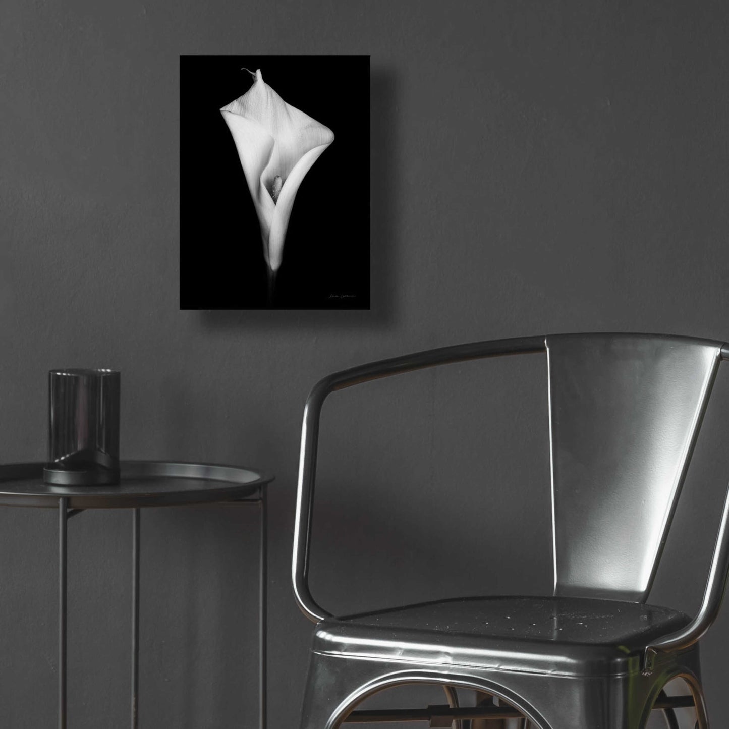 Epic Art 'Elegant Calla I' by Elise Catterall, Acrylic Glass Wall Art,12x16