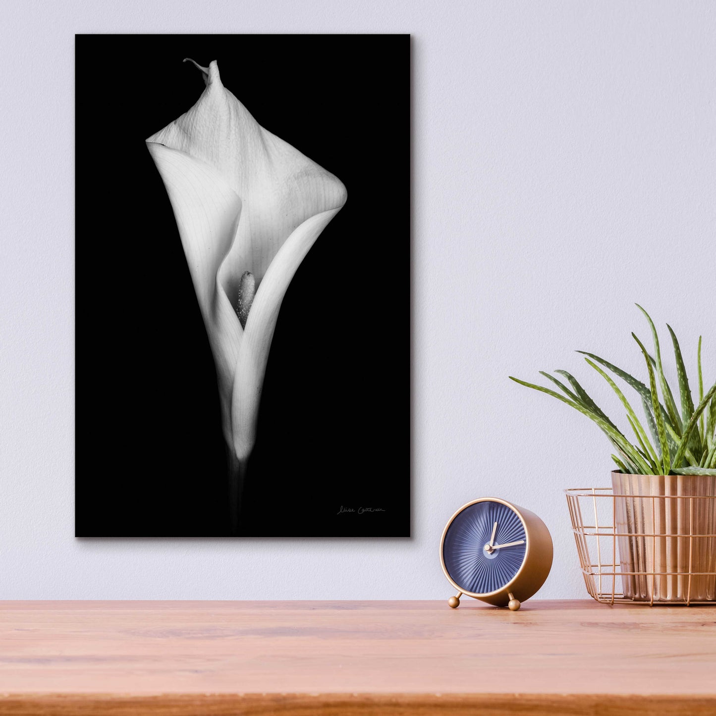 Epic Art 'Elegant Calla I' by Elise Catterall, Acrylic Glass Wall Art,12x16