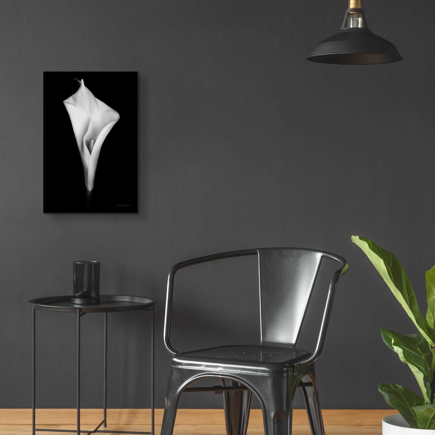 Epic Art 'Elegant Calla I' by Elise Catterall, Acrylic Glass Wall Art,16x24