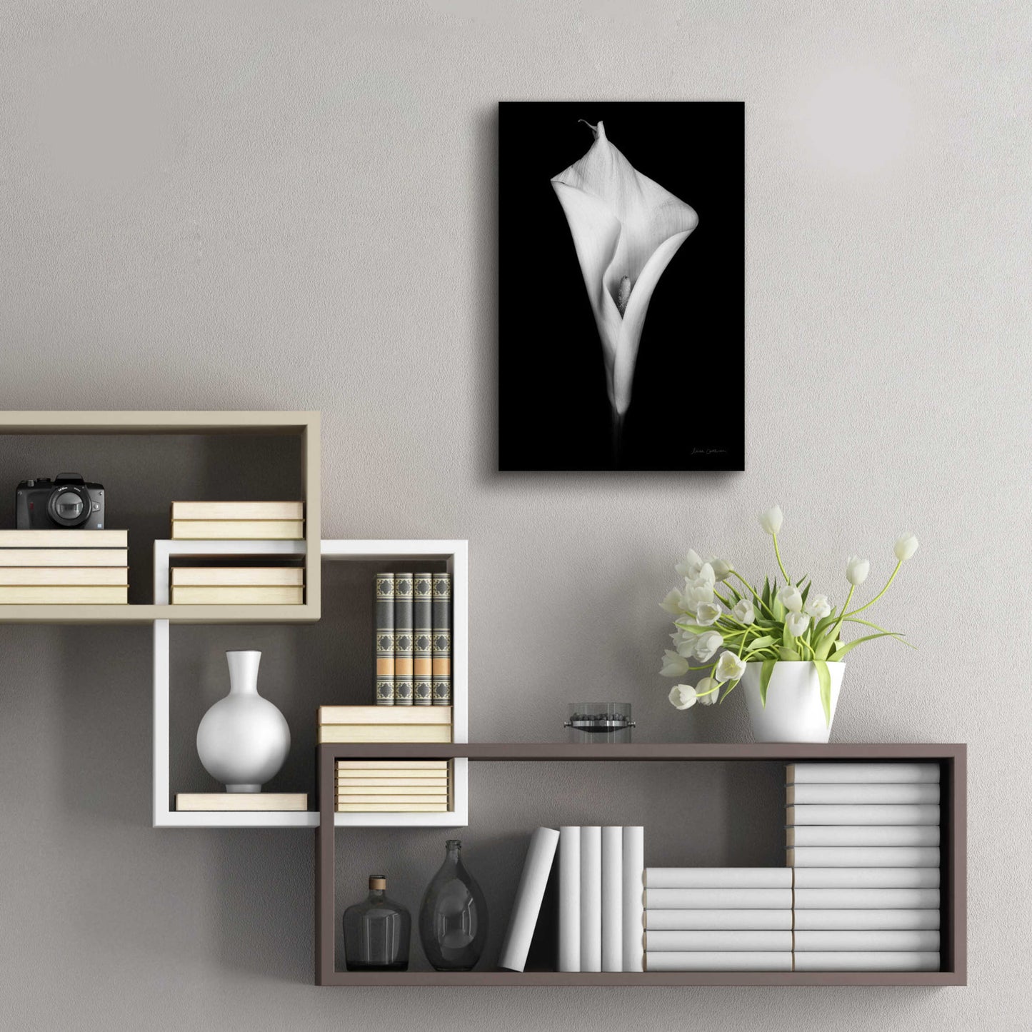 Epic Art 'Elegant Calla I' by Elise Catterall, Acrylic Glass Wall Art,16x24