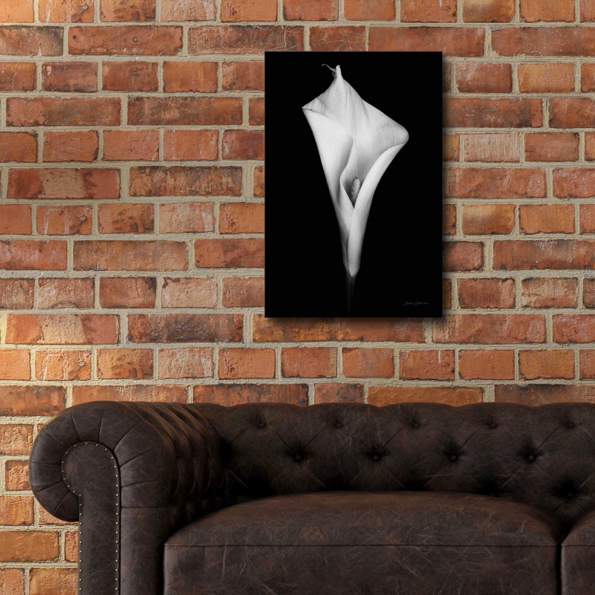 Epic Art 'Elegant Calla I' by Elise Catterall, Acrylic Glass Wall Art,16x24