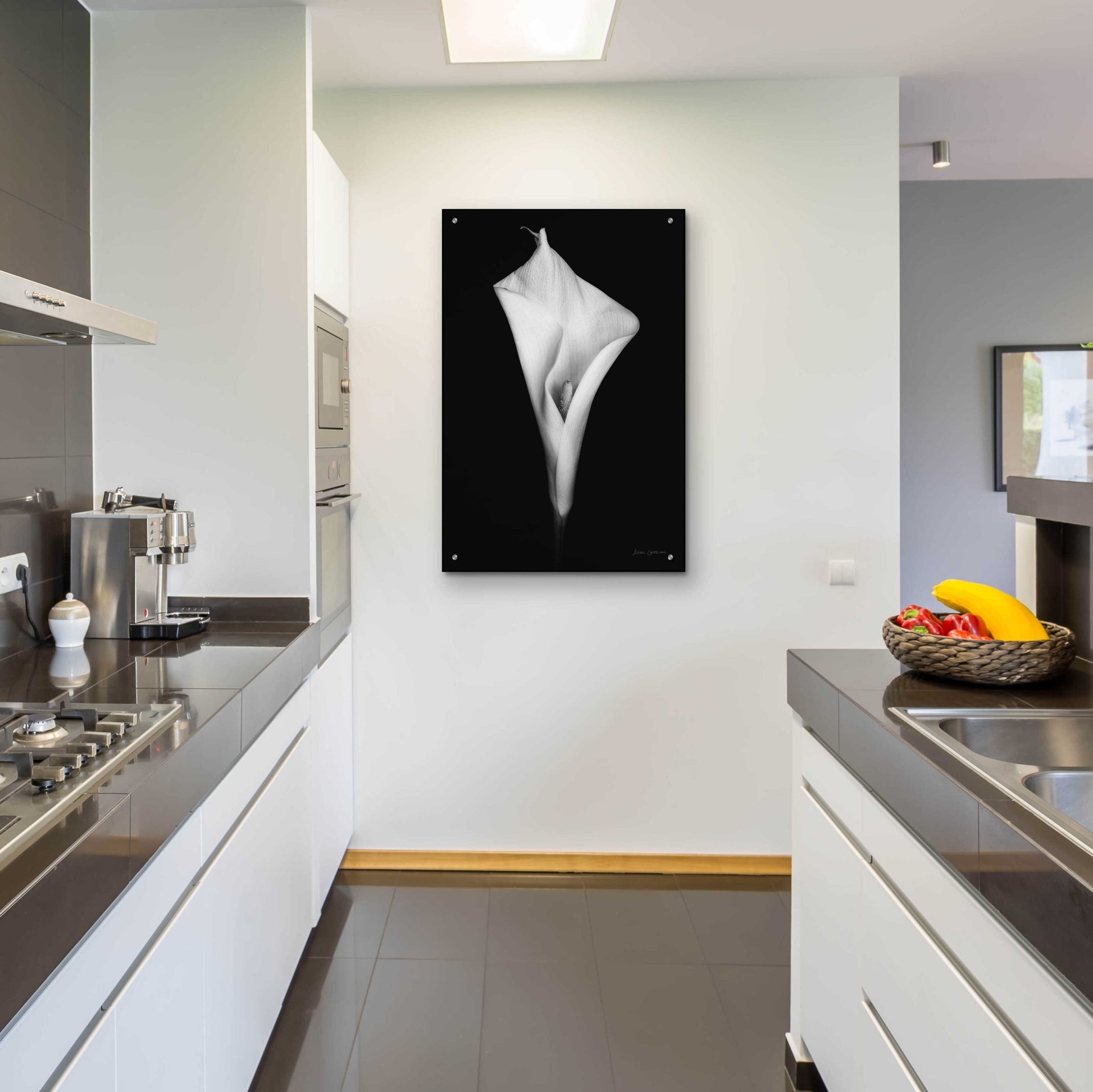 Epic Art 'Elegant Calla I' by Elise Catterall, Acrylic Glass Wall Art,24x36