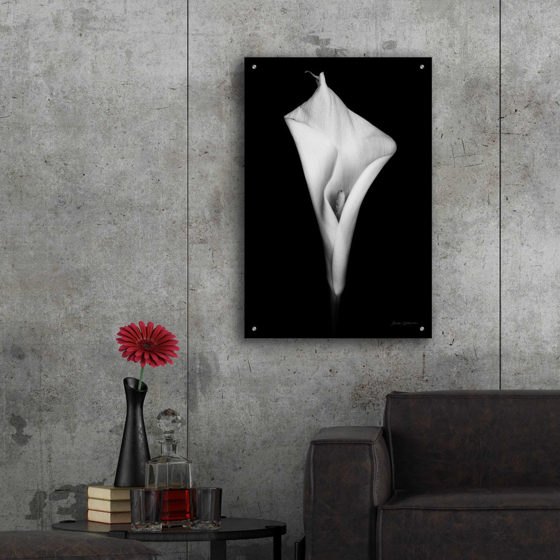 Epic Art 'Elegant Calla I' by Elise Catterall, Acrylic Glass Wall Art,24x36