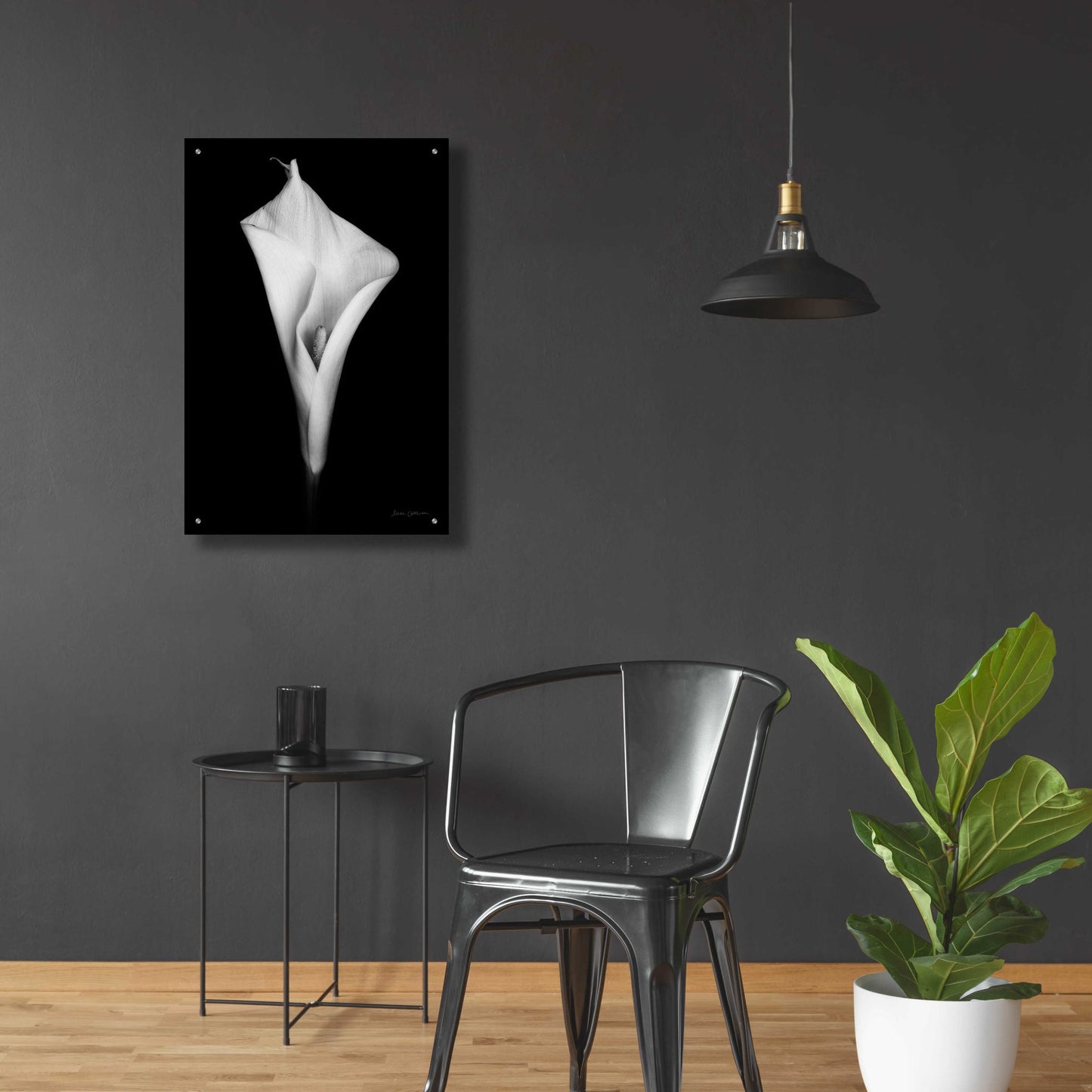 Epic Art 'Elegant Calla I' by Elise Catterall, Acrylic Glass Wall Art,24x36