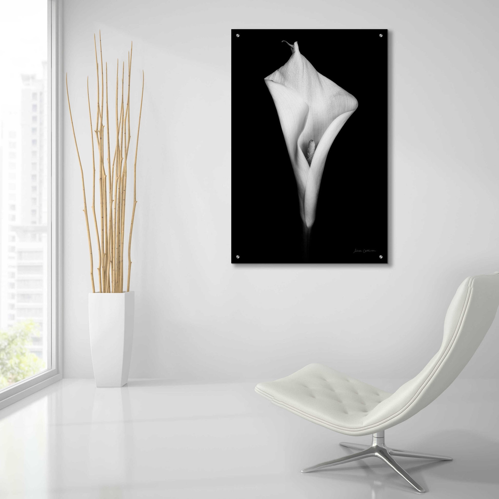 Epic Art 'Elegant Calla I' by Elise Catterall, Acrylic Glass Wall Art,24x36