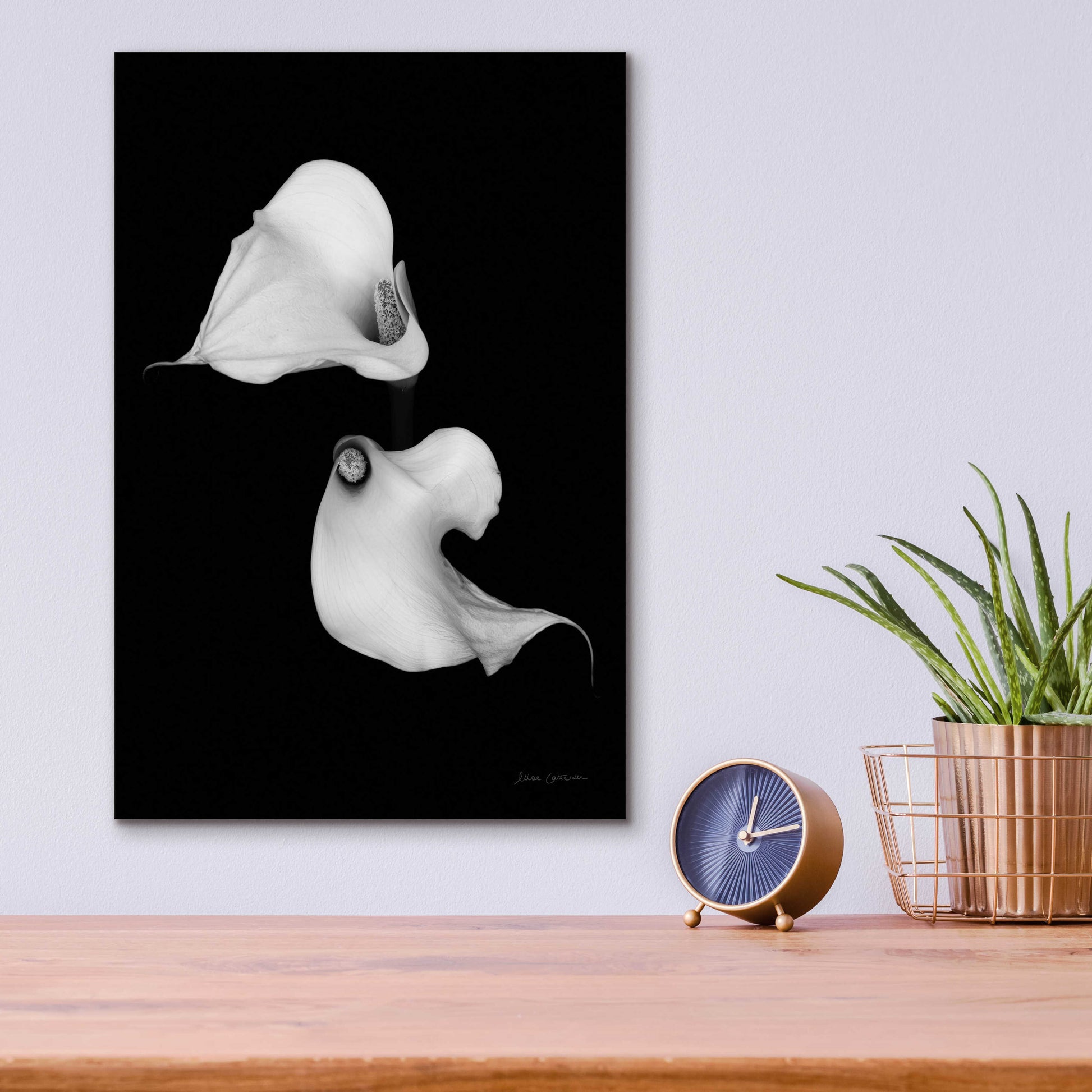 Epic Art 'Elegant Calla II' by Elise Catterall, Acrylic Glass Wall Art,12x16