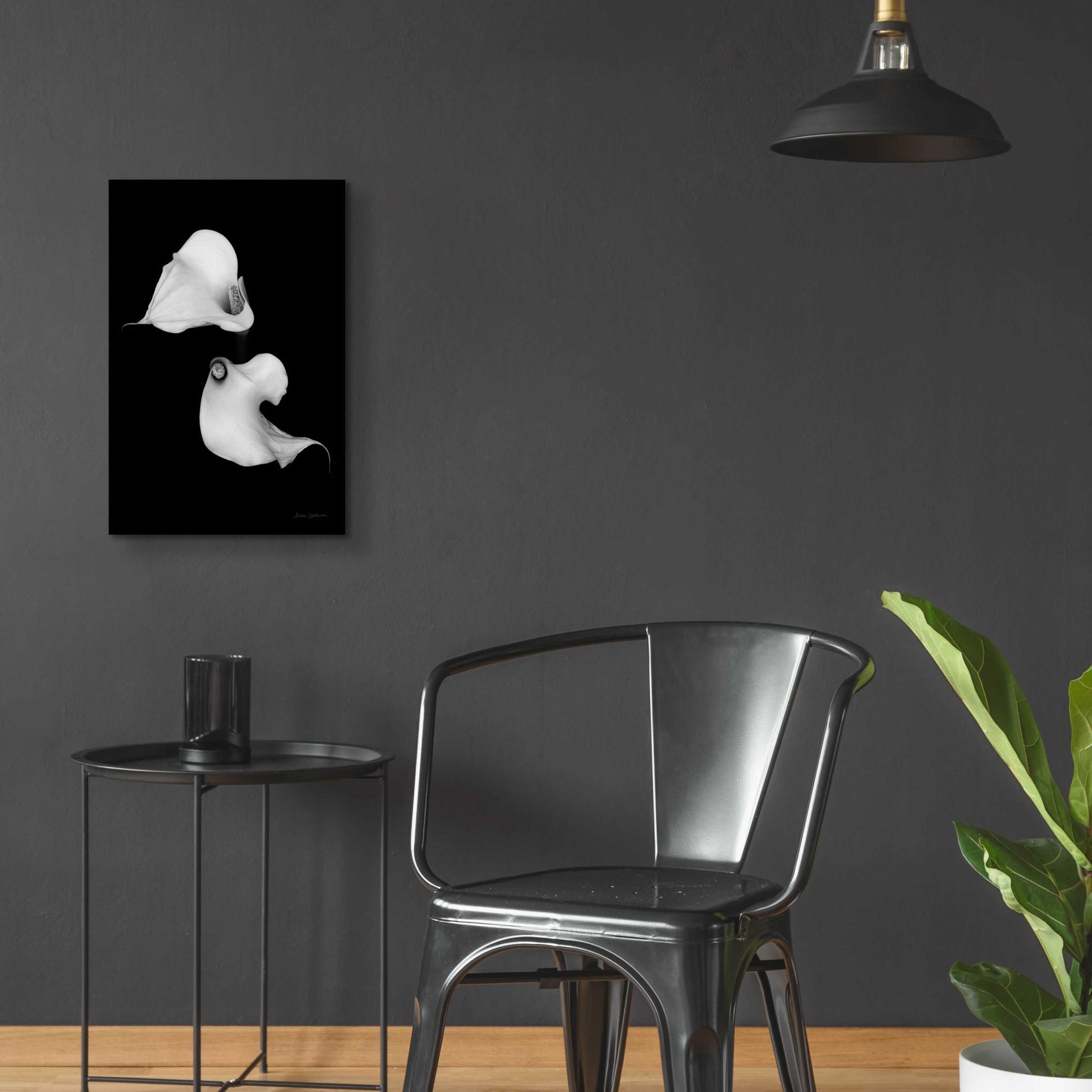 Epic Art 'Elegant Calla II' by Elise Catterall, Acrylic Glass Wall Art,16x24