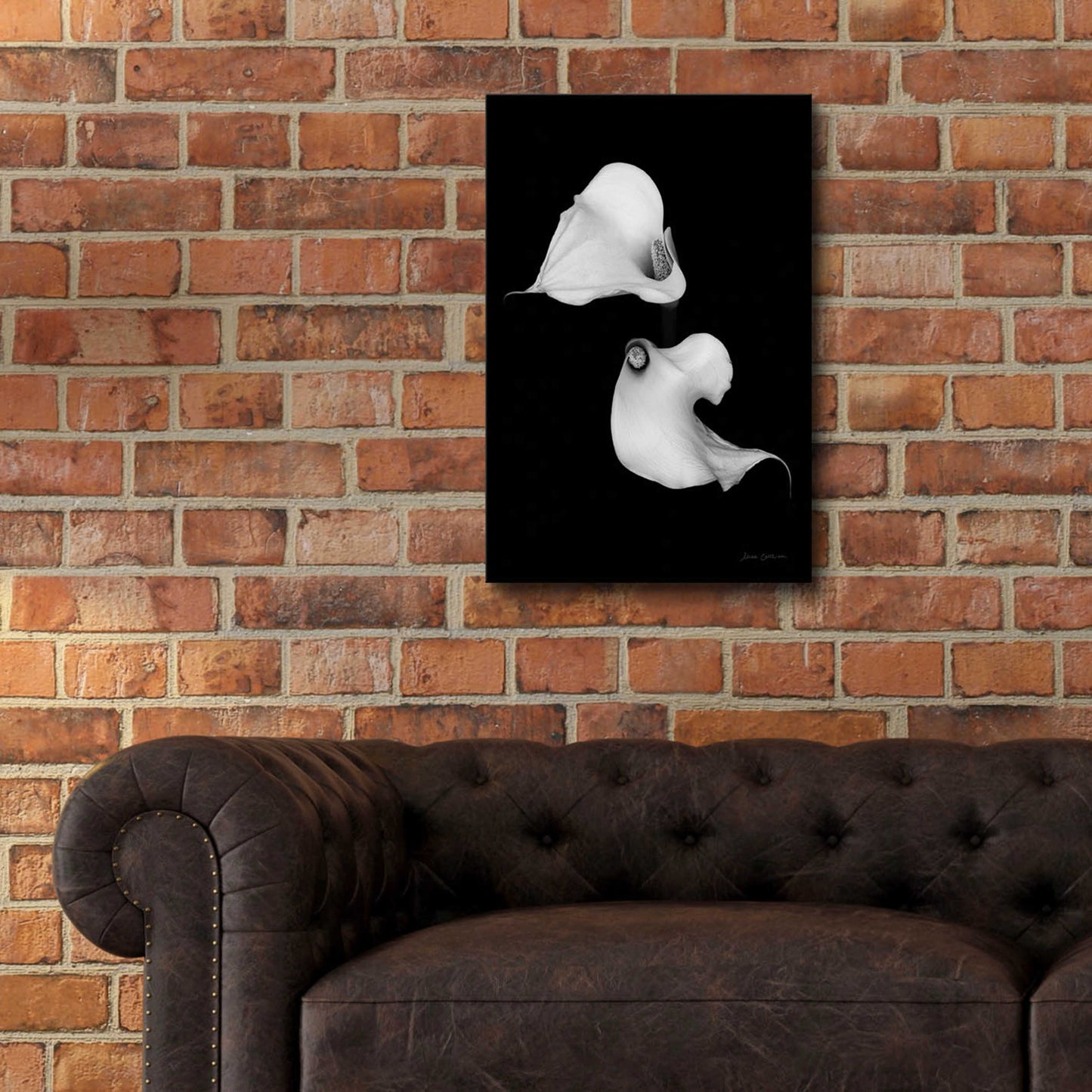 Epic Art 'Elegant Calla II' by Elise Catterall, Acrylic Glass Wall Art,16x24