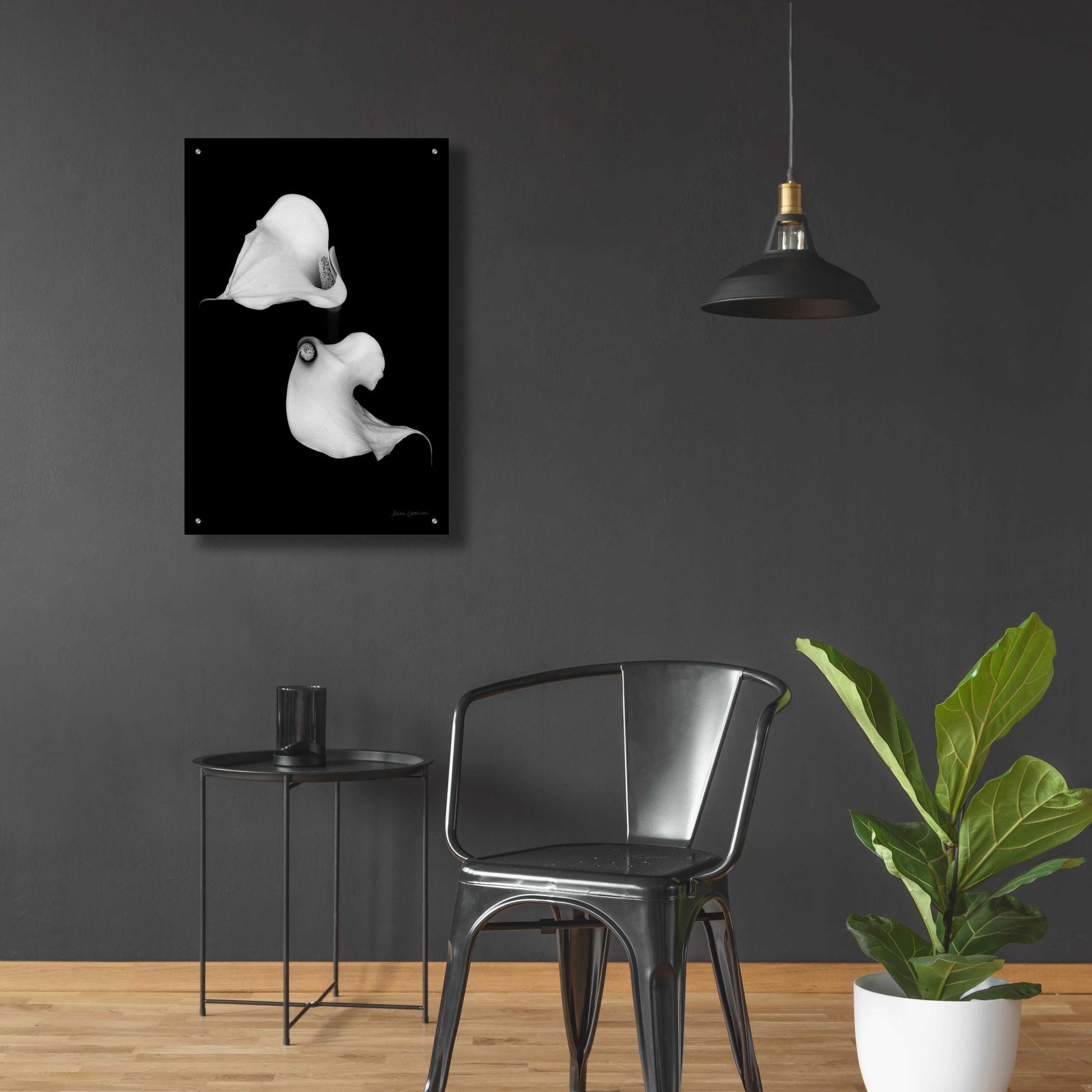 Epic Art 'Elegant Calla II' by Elise Catterall, Acrylic Glass Wall Art,24x36