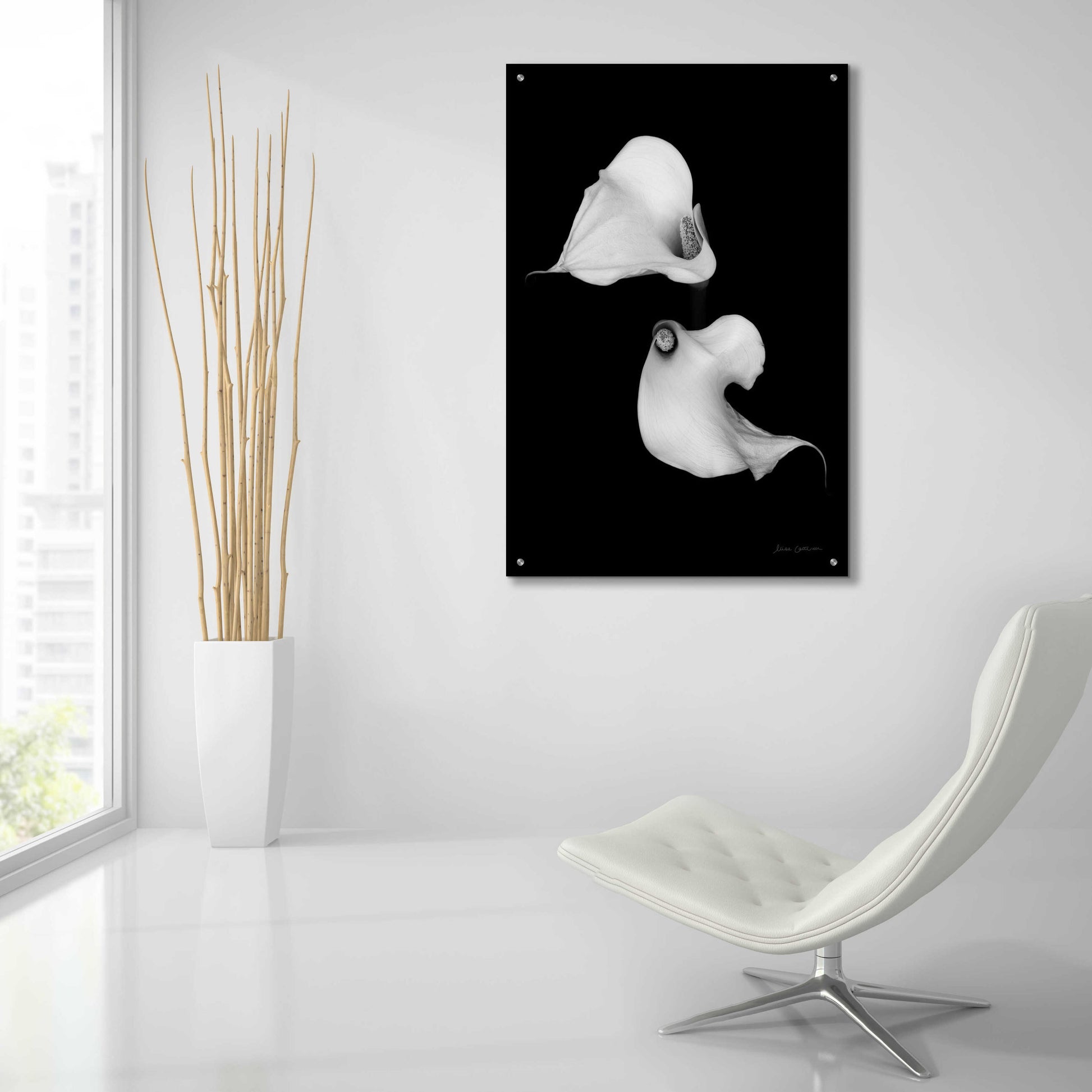 Epic Art 'Elegant Calla II' by Elise Catterall, Acrylic Glass Wall Art,24x36