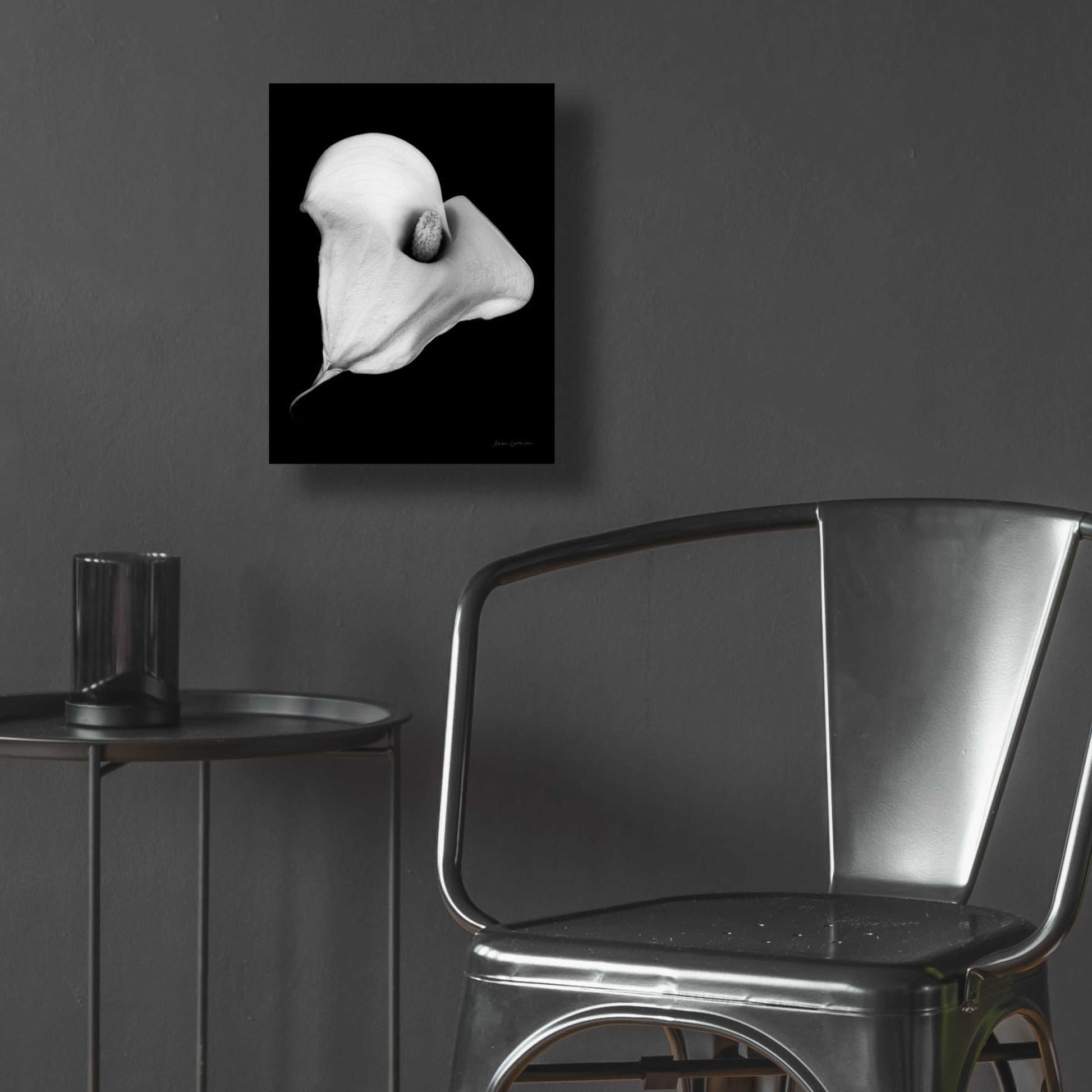 Epic Art 'Elegant Calla III' by Elise Catterall, Acrylic Glass Wall Art,12x16