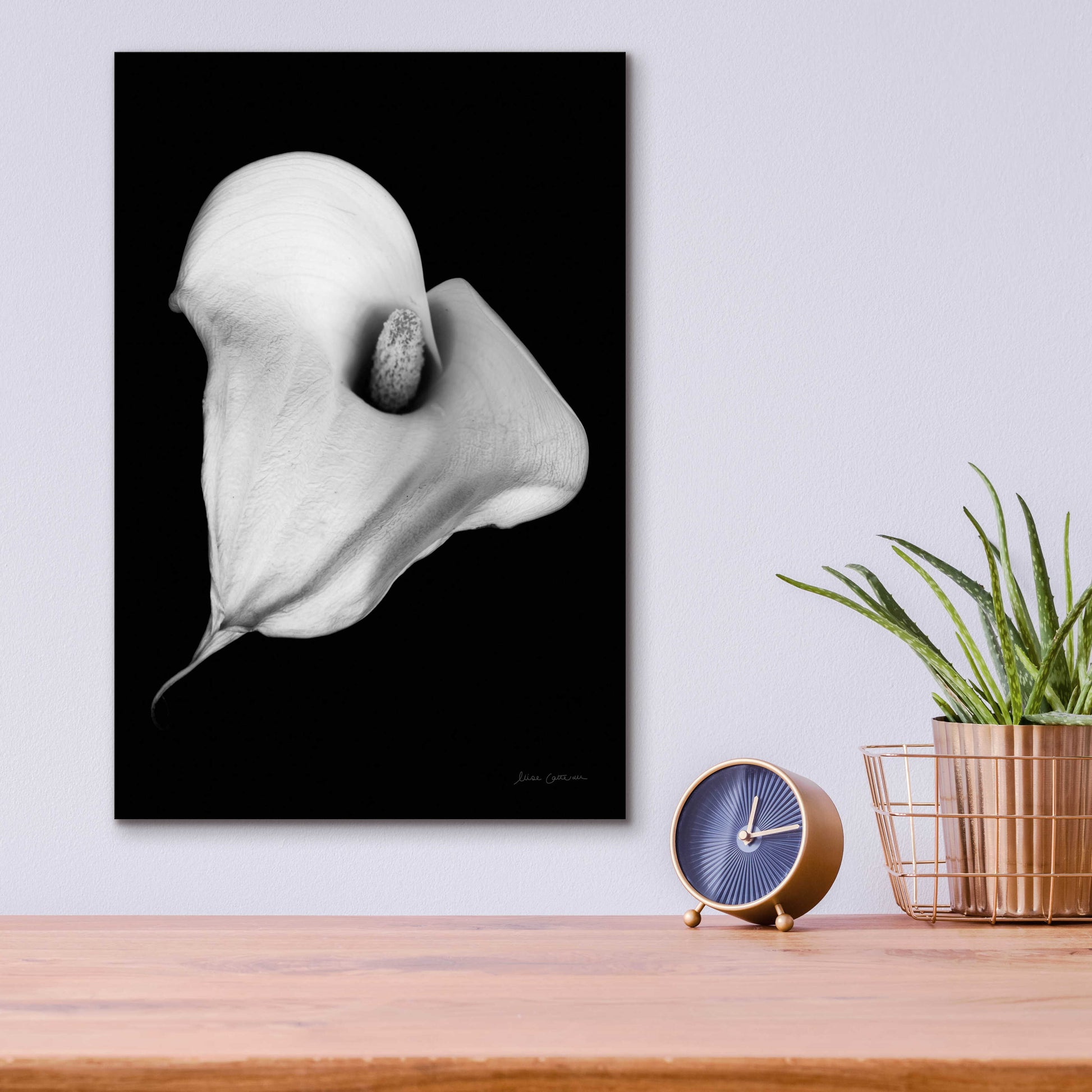 Epic Art 'Elegant Calla III' by Elise Catterall, Acrylic Glass Wall Art,12x16