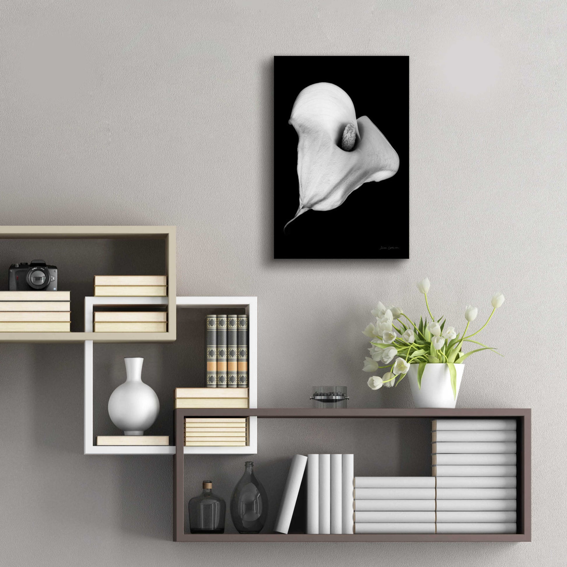 Epic Art 'Elegant Calla III' by Elise Catterall, Acrylic Glass Wall Art,16x24