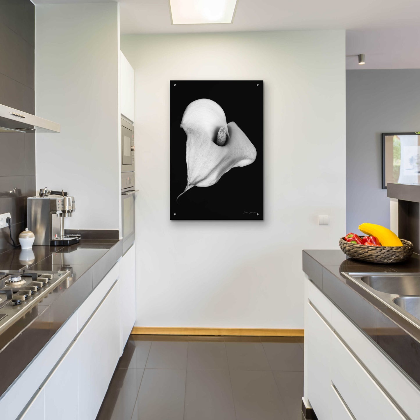 Epic Art 'Elegant Calla III' by Elise Catterall, Acrylic Glass Wall Art,24x36