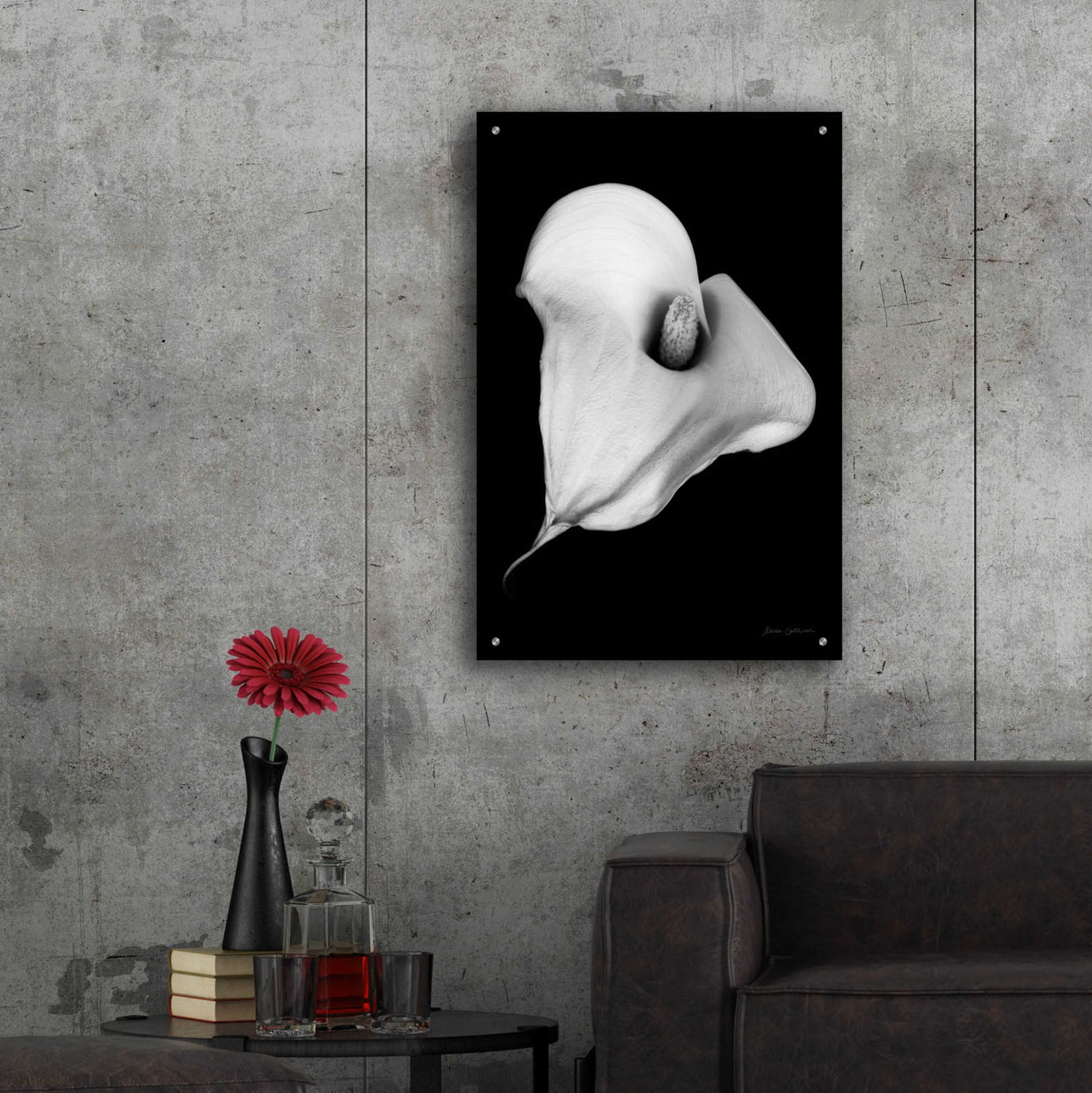 Epic Art 'Elegant Calla III' by Elise Catterall, Acrylic Glass Wall Art,24x36