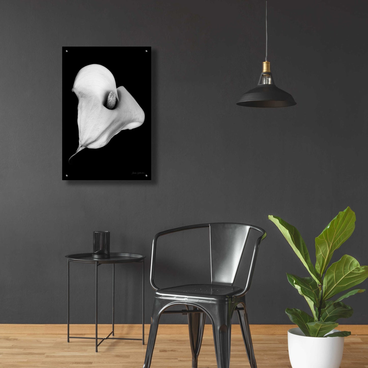 Epic Art 'Elegant Calla III' by Elise Catterall, Acrylic Glass Wall Art,24x36