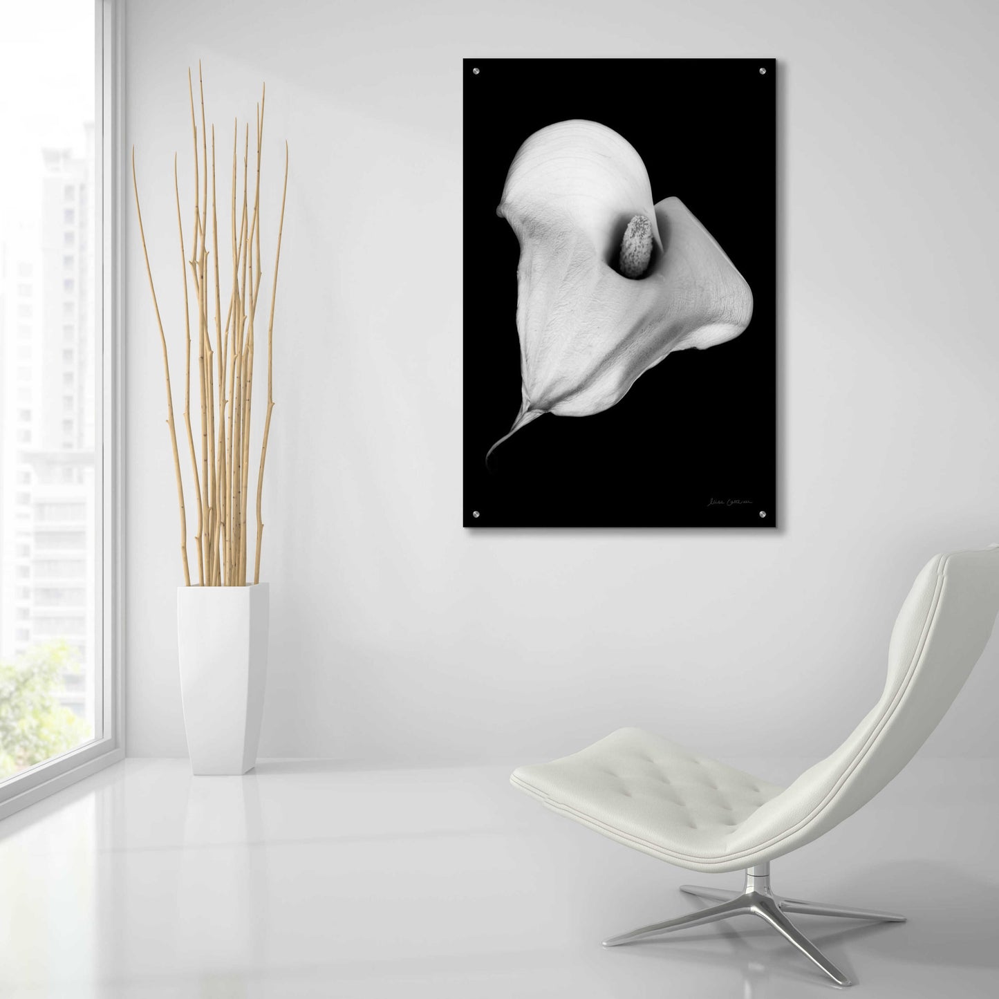 Epic Art 'Elegant Calla III' by Elise Catterall, Acrylic Glass Wall Art,24x36