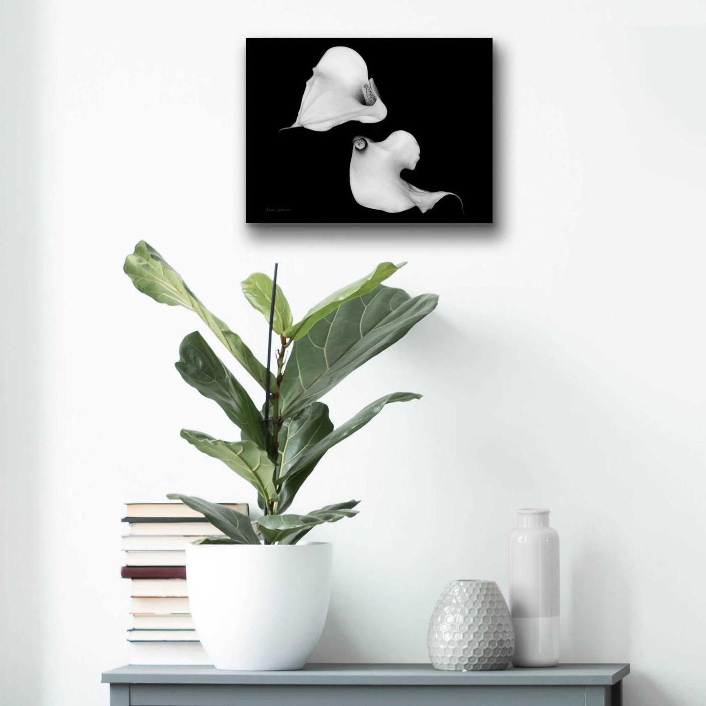 Epic Art 'Elegant Calla IV' by Elise Catterall, Acrylic Glass Wall Art,16x12