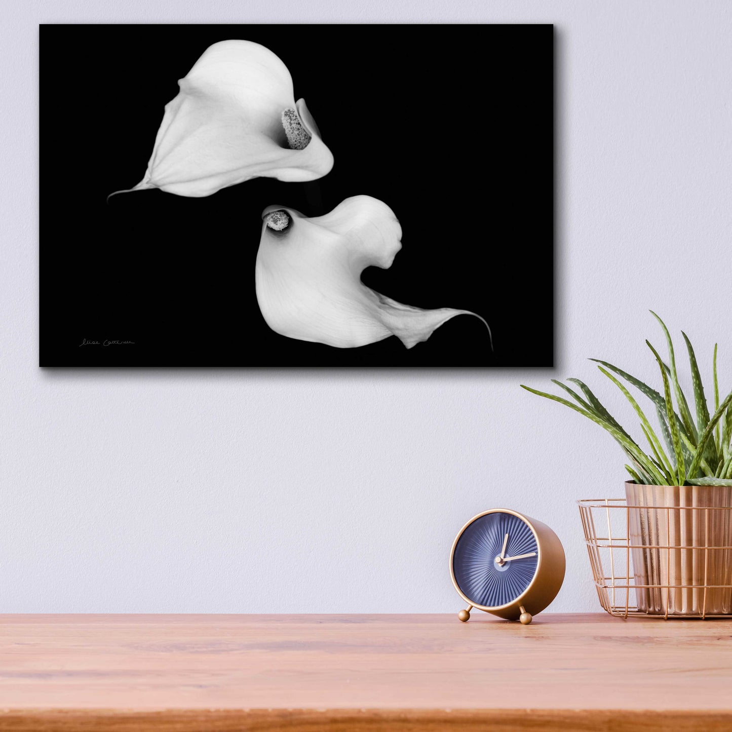 Epic Art 'Elegant Calla IV' by Elise Catterall, Acrylic Glass Wall Art,16x12