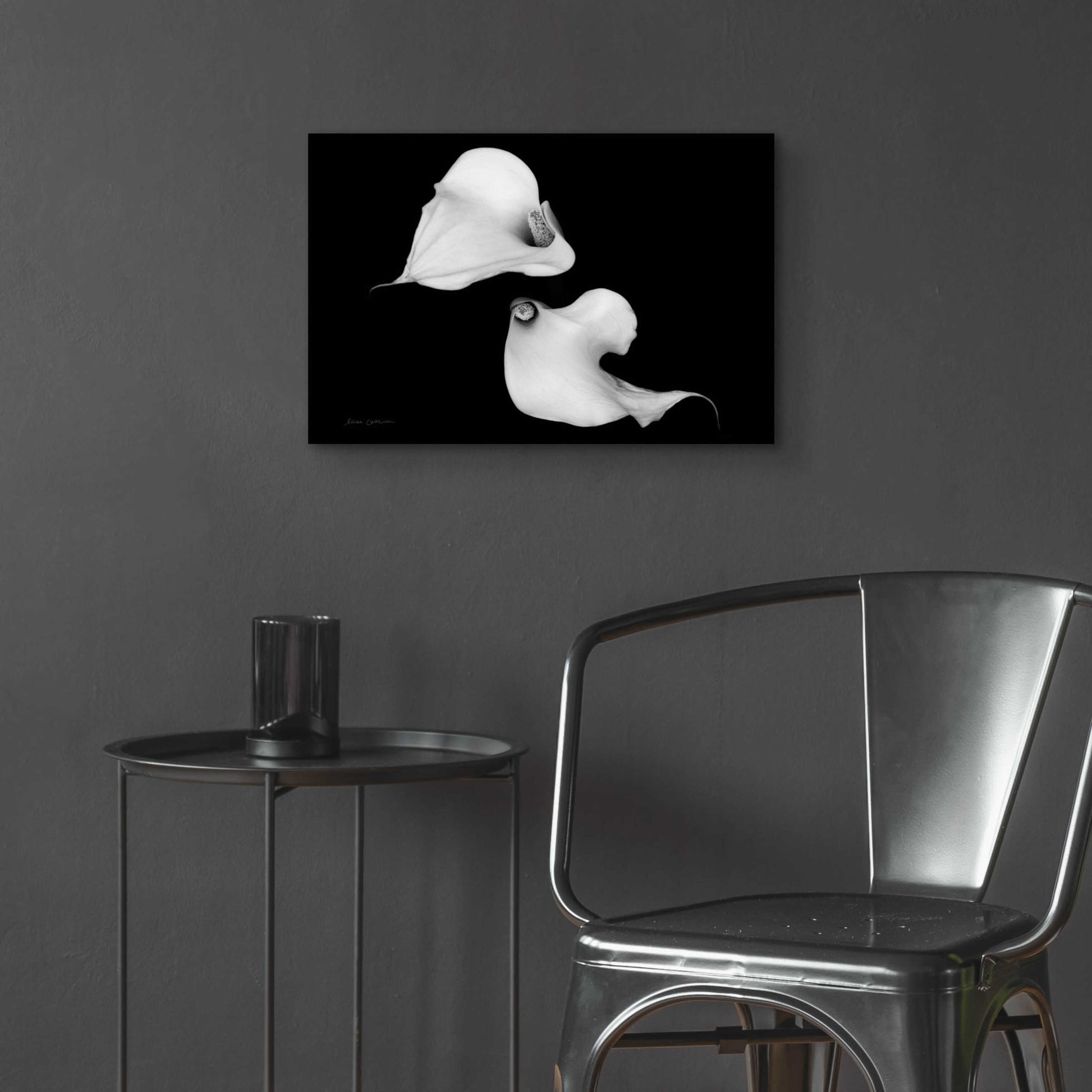 Epic Art 'Elegant Calla IV' by Elise Catterall, Acrylic Glass Wall Art,24x16