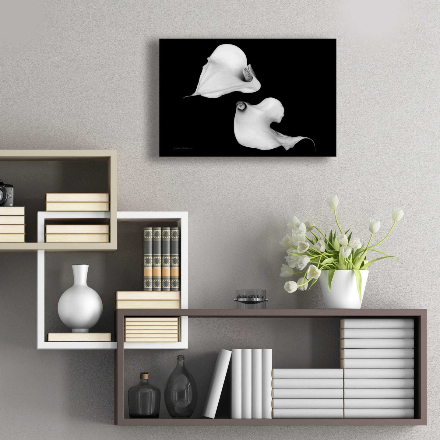 Epic Art 'Elegant Calla IV' by Elise Catterall, Acrylic Glass Wall Art,24x16