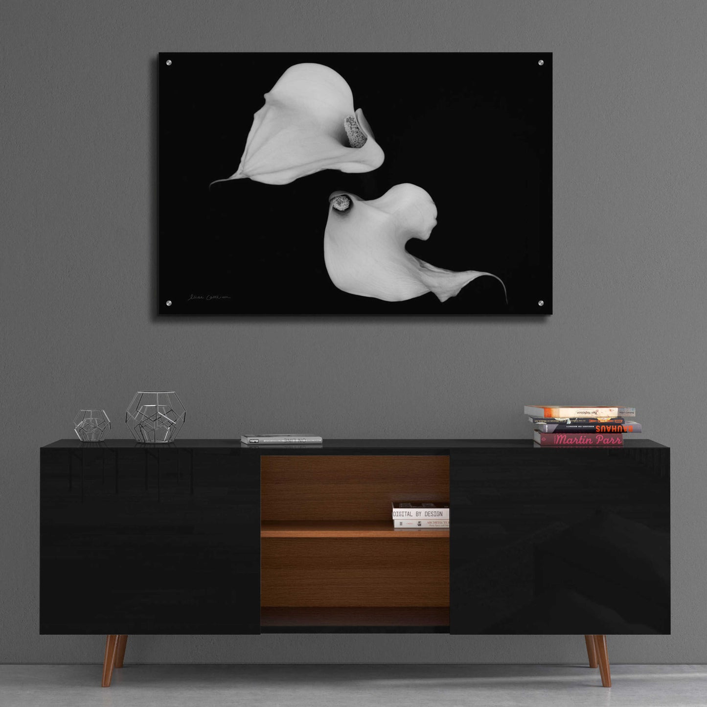 Epic Art 'Elegant Calla IV' by Elise Catterall, Acrylic Glass Wall Art,36x24