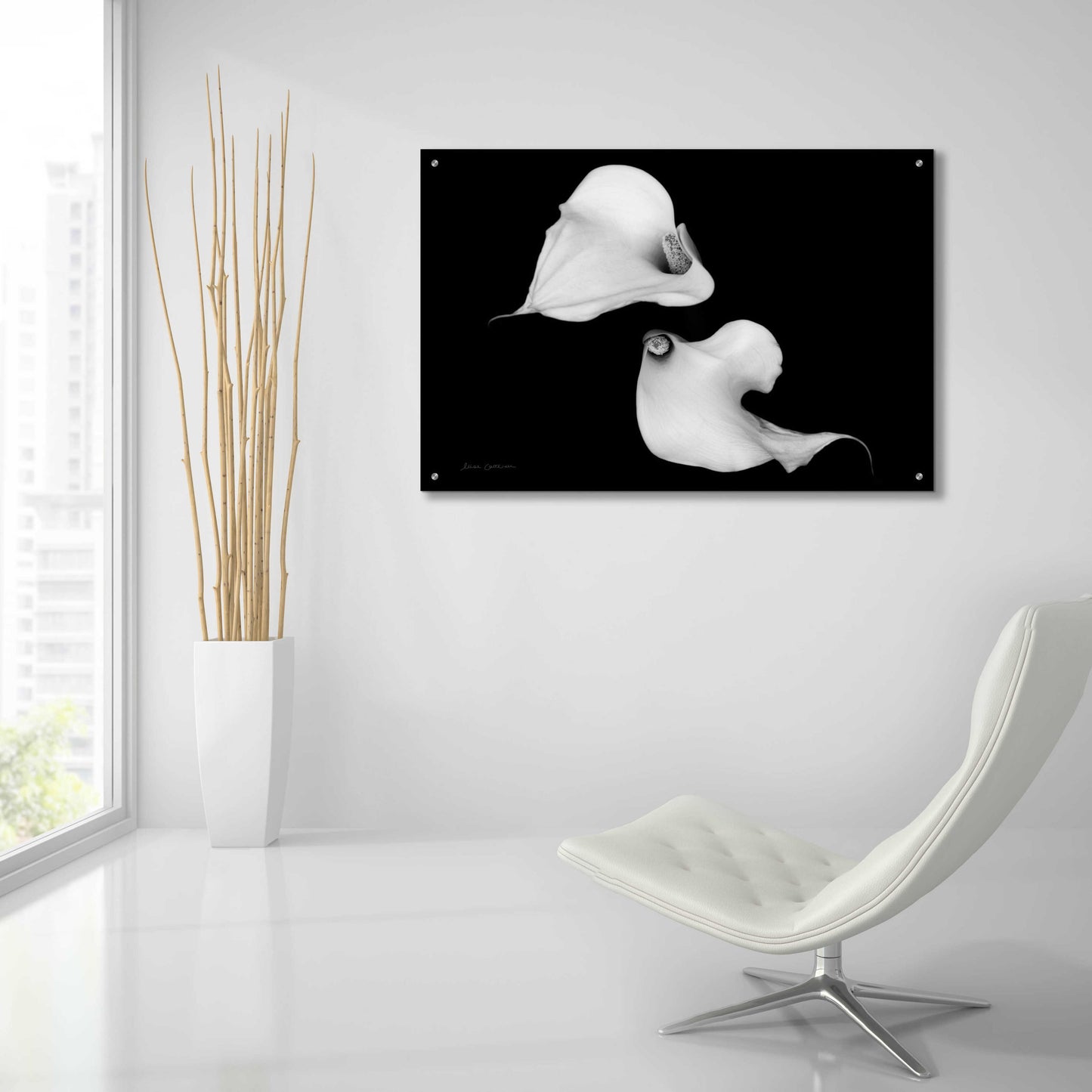 Epic Art 'Elegant Calla IV' by Elise Catterall, Acrylic Glass Wall Art,36x24