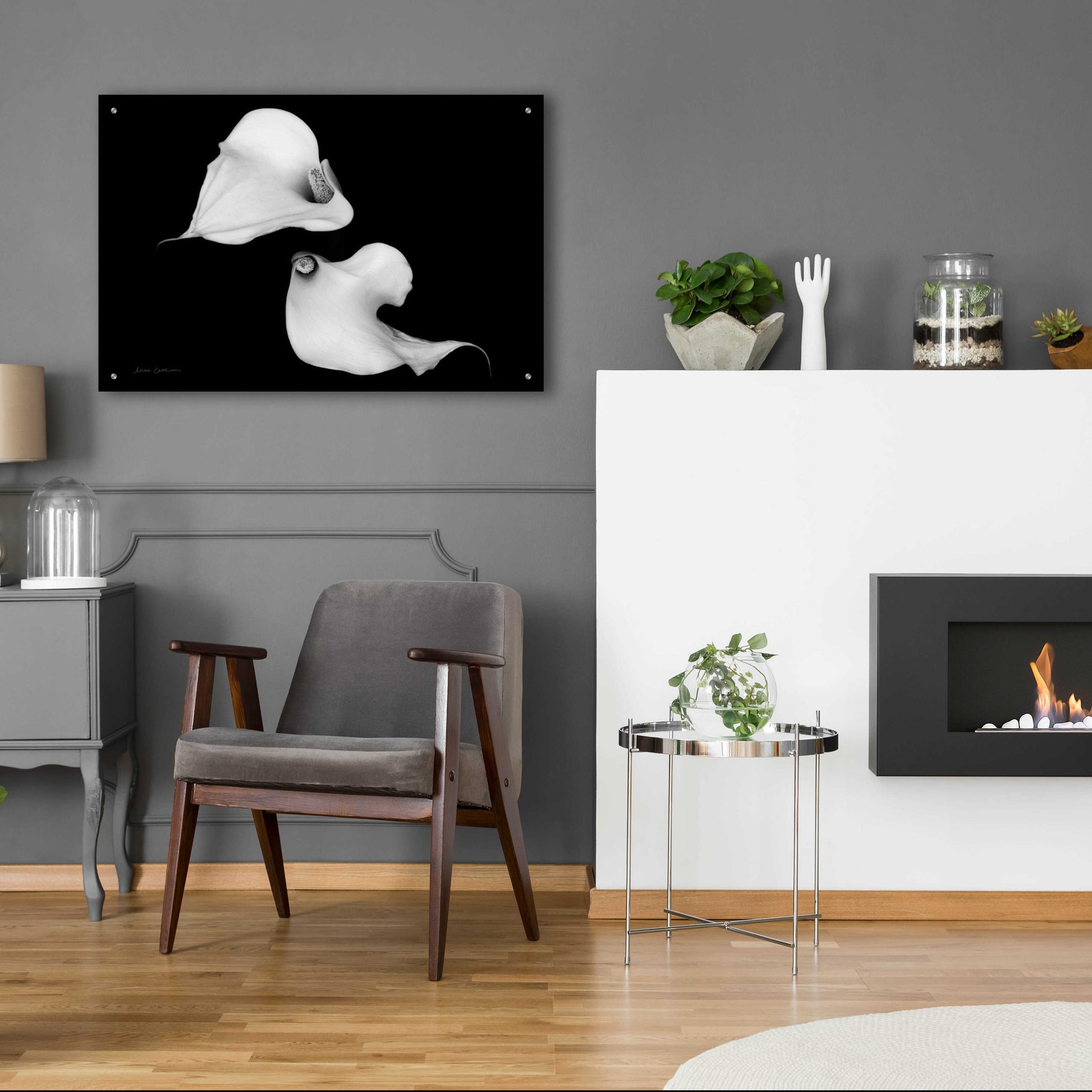 Epic Art 'Elegant Calla IV' by Elise Catterall, Acrylic Glass Wall Art,36x24