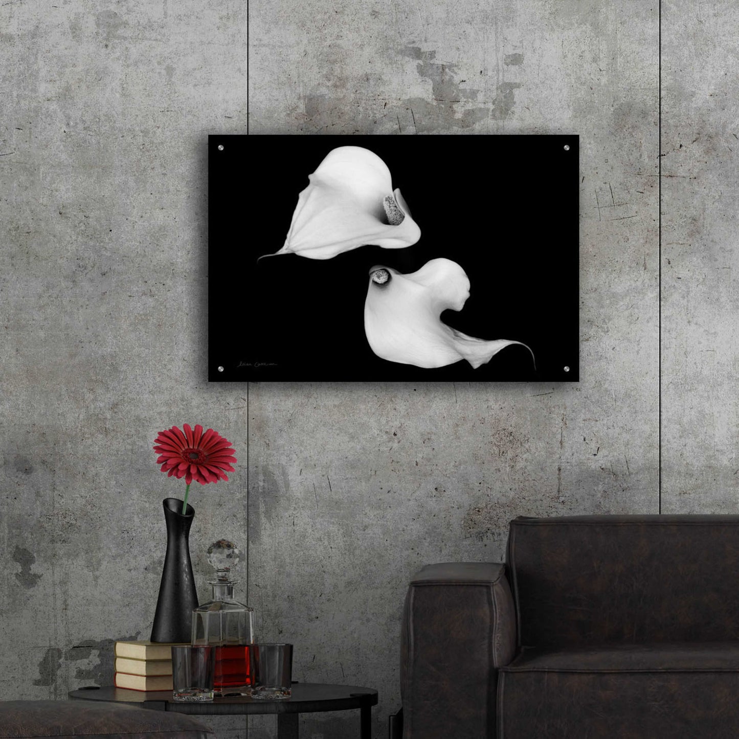 Epic Art 'Elegant Calla IV' by Elise Catterall, Acrylic Glass Wall Art,36x24